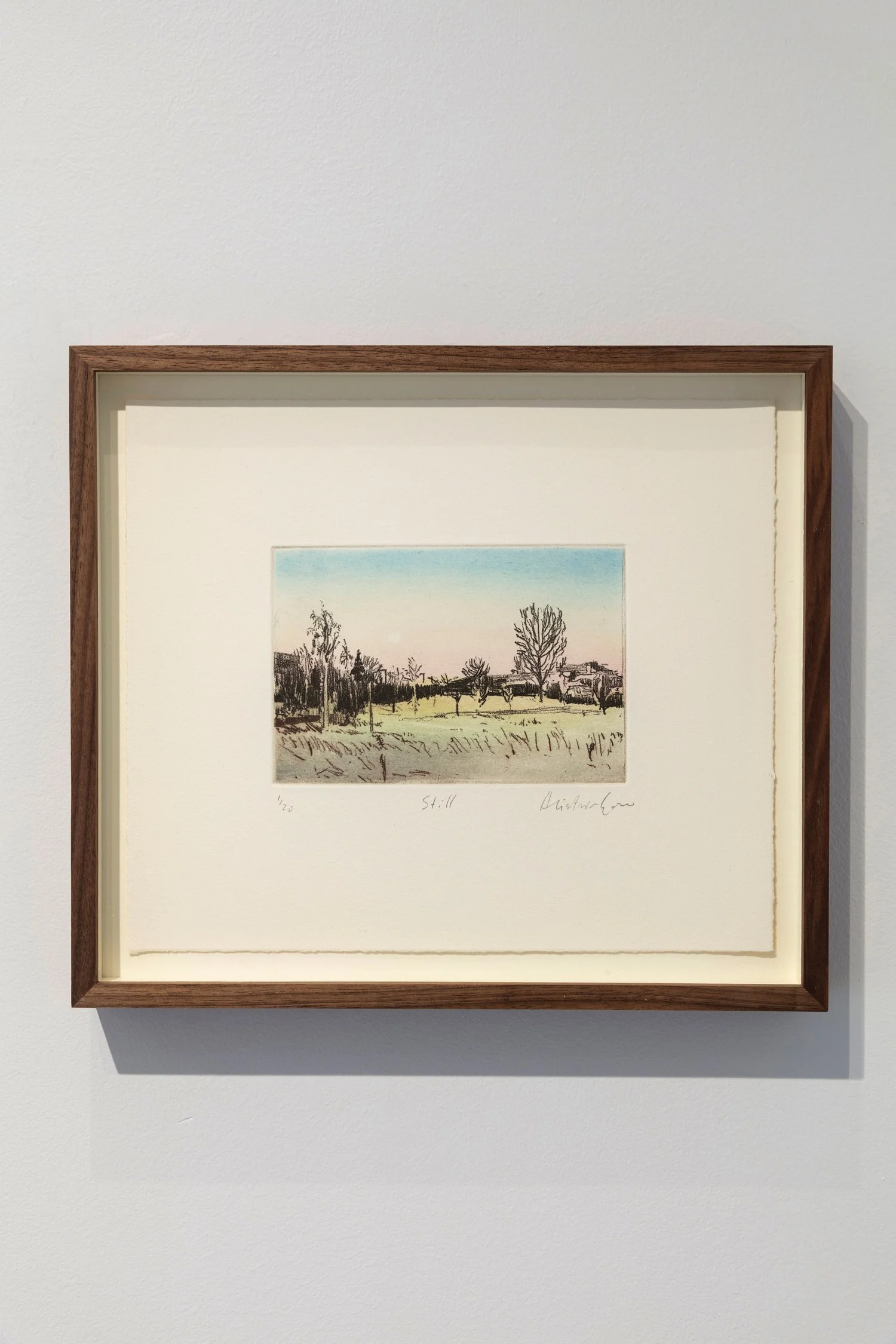 Alistair-Gow-install-Still-Oliver-Projects-Gallery.jpg
