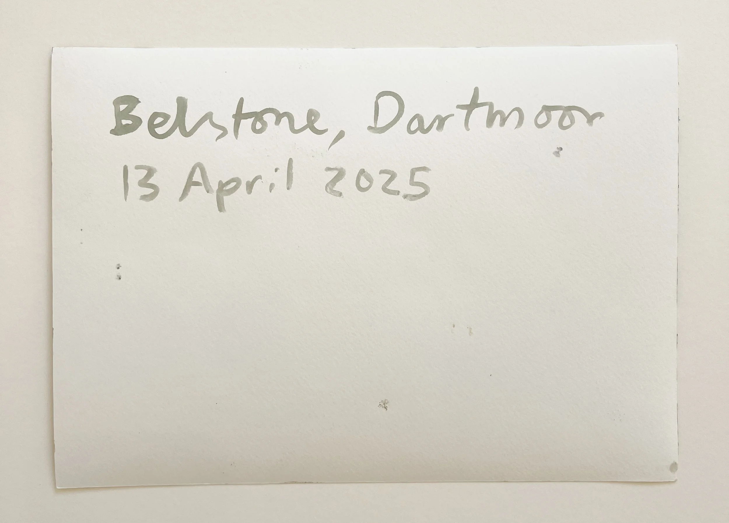 Wilfrid-Wood-Dartmoor-Ponies-Belstone-reverse-Oliver-Projects-Gallery.JPG