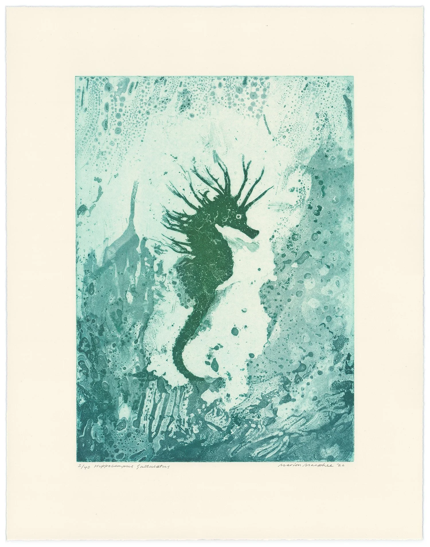 Marion-MacPhee_Hippocampus_Guttulatus.26-Oliver-Projects-Gallery-web-2.jpg