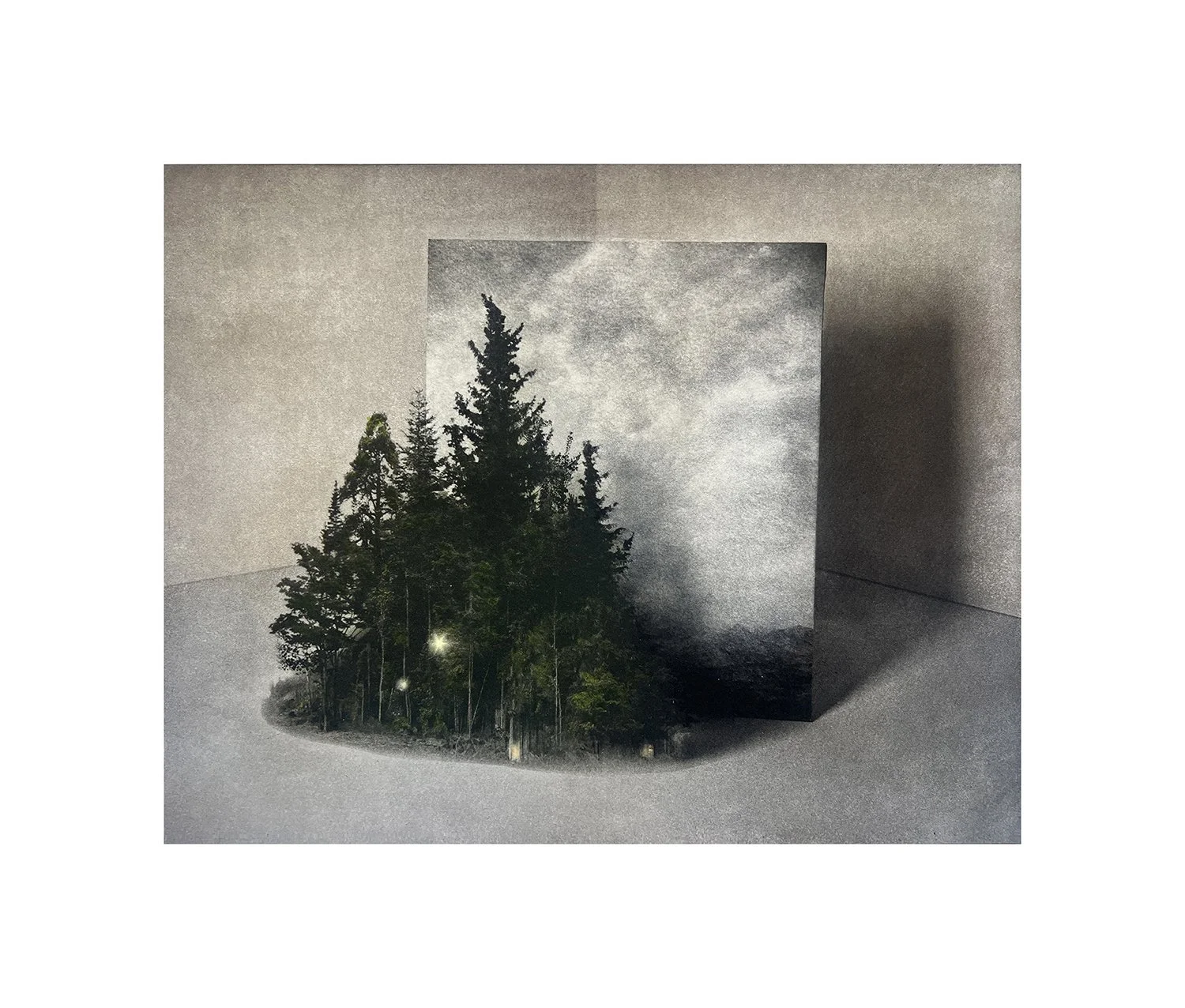 Suzanne-Moxhay-Arbor-Oliver-Projects-Gallery resized.jpg