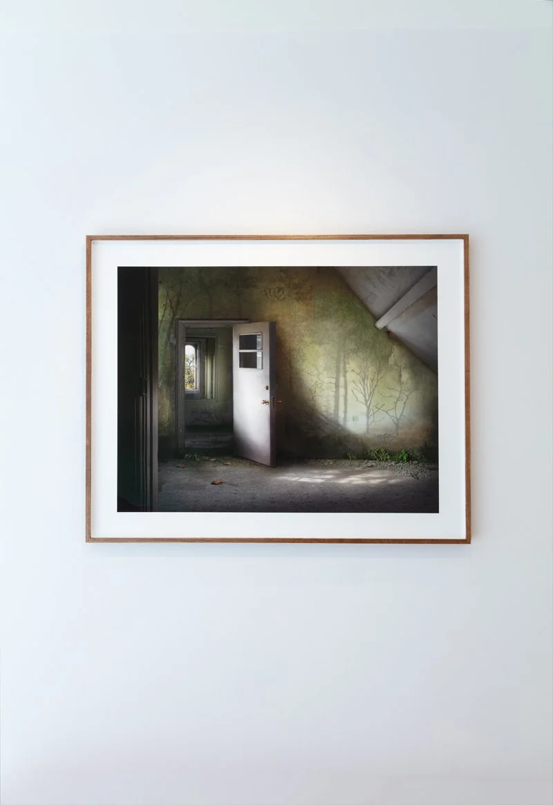 Suzanne-Moxhay-Skylight-framed-Oliver-Projects-Gallery.jpg