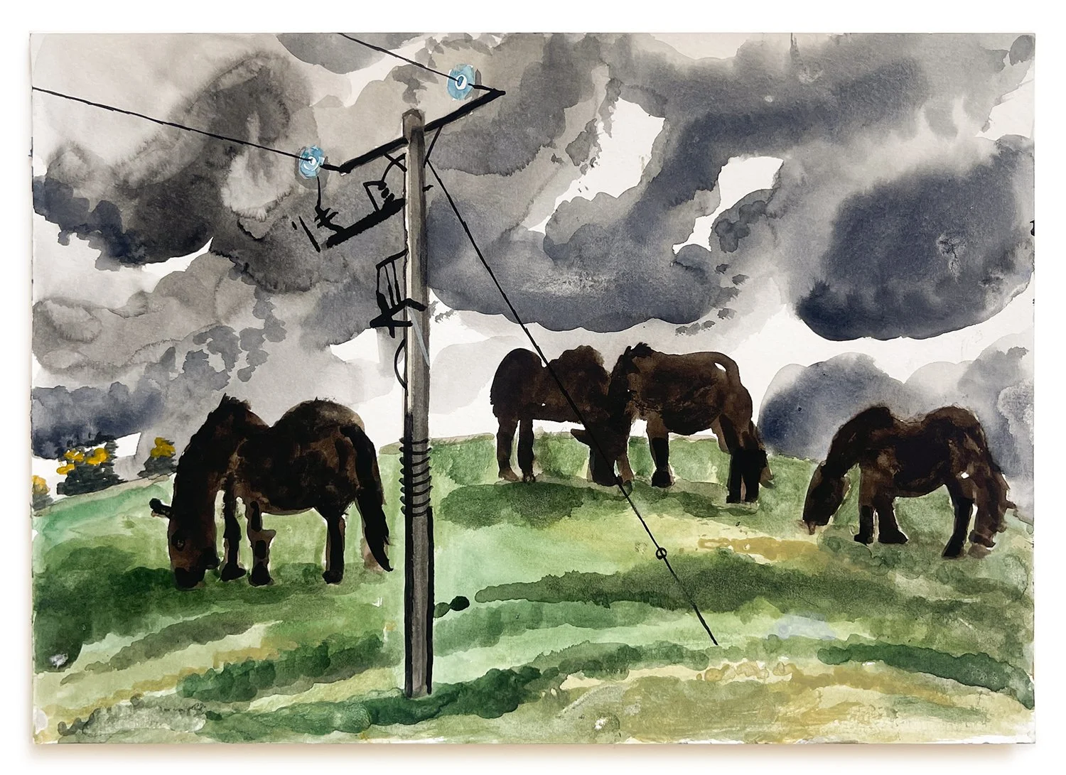 Wilfrid Wood, Dartmoor Ponies, Belstone, 2025