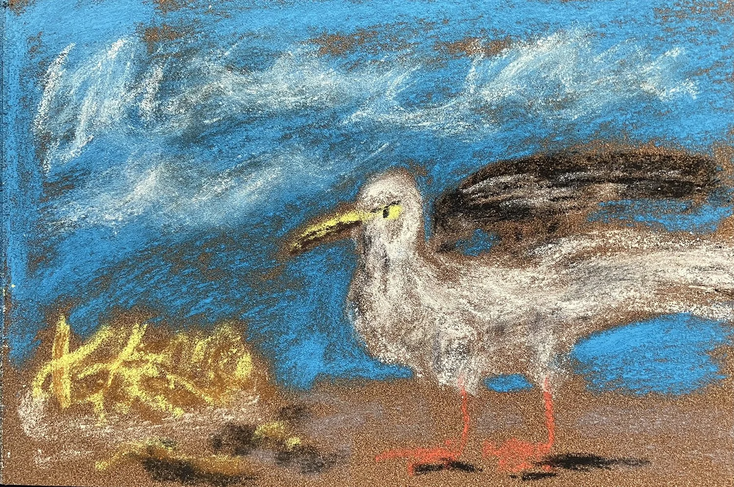 Archie Franks, A Seagull for Martin Parr, 2026 (framed)