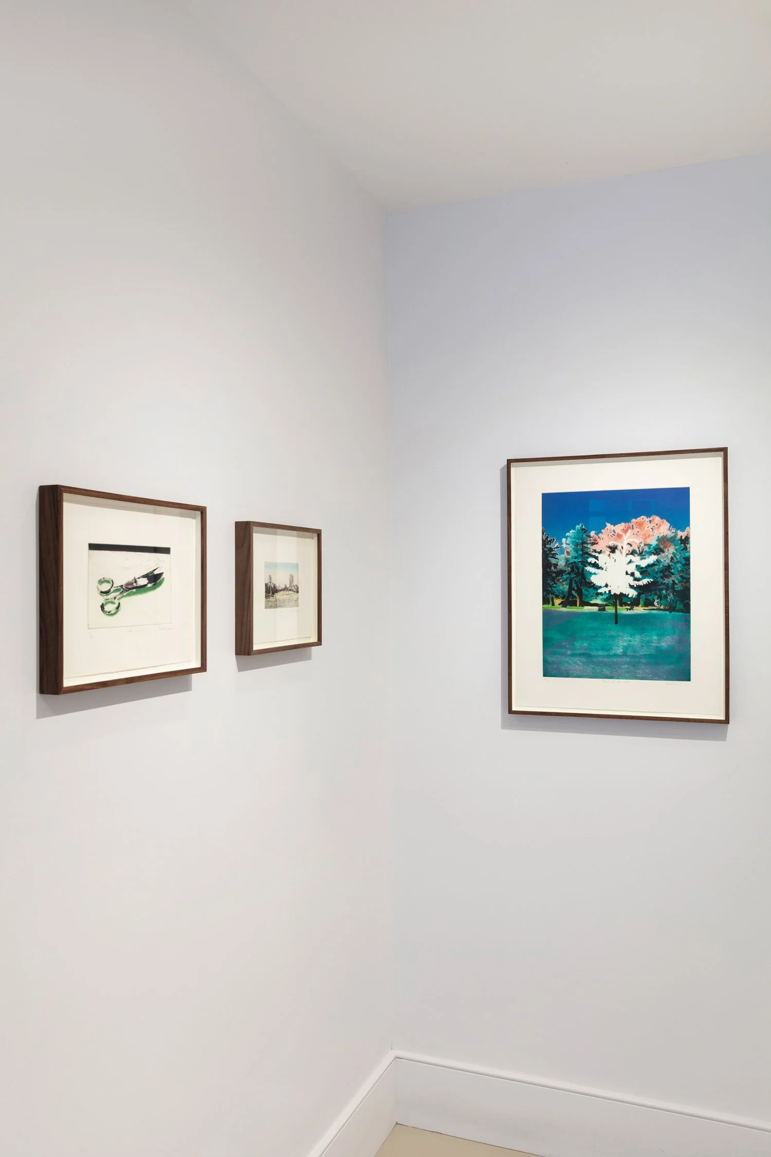 Alistair-Gow-install-corner-Oliver-Projects-Gallery.jpg