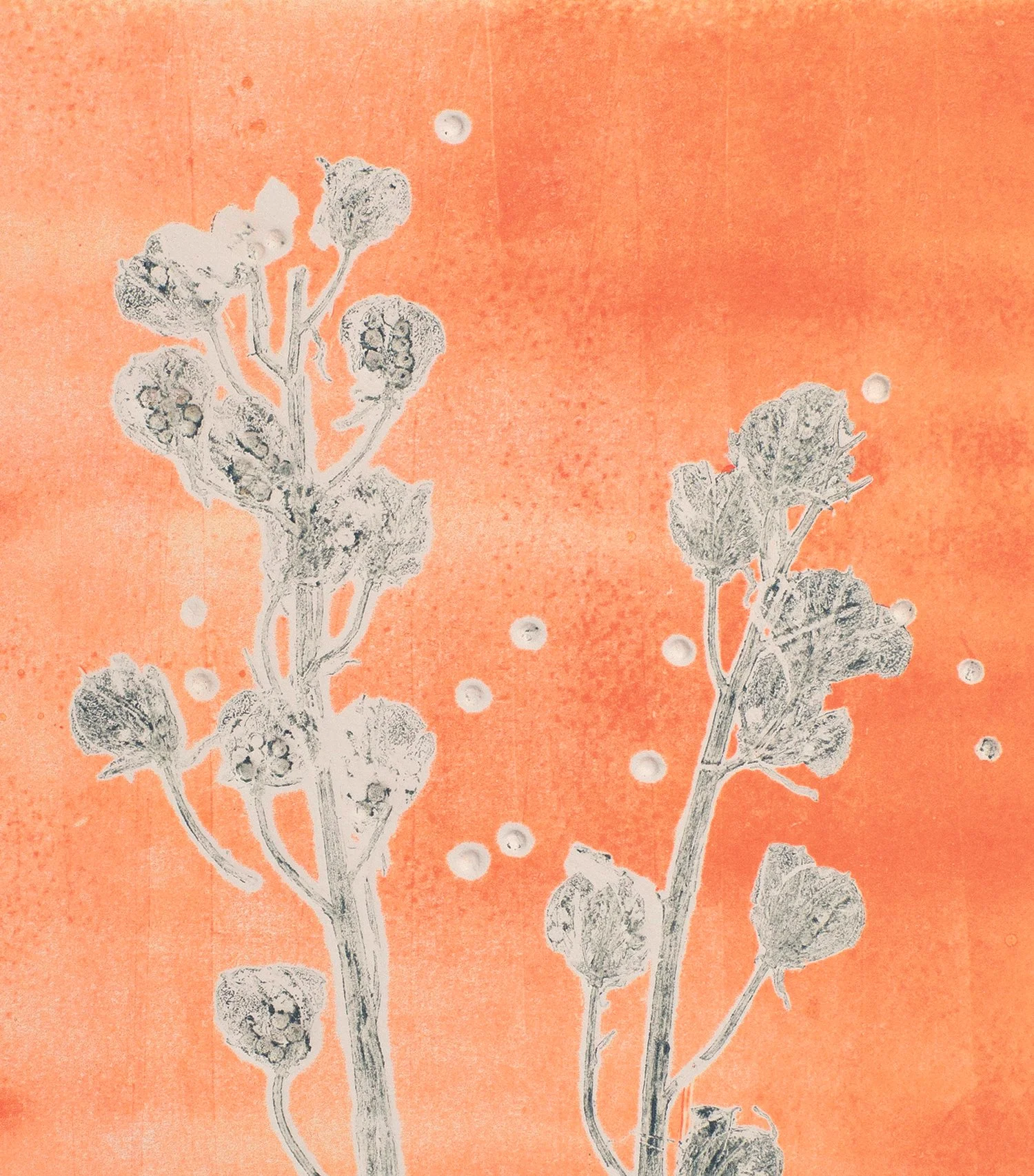 Tamsin Relly_Wild City 2023_monotype_CMYK_crop.jpg