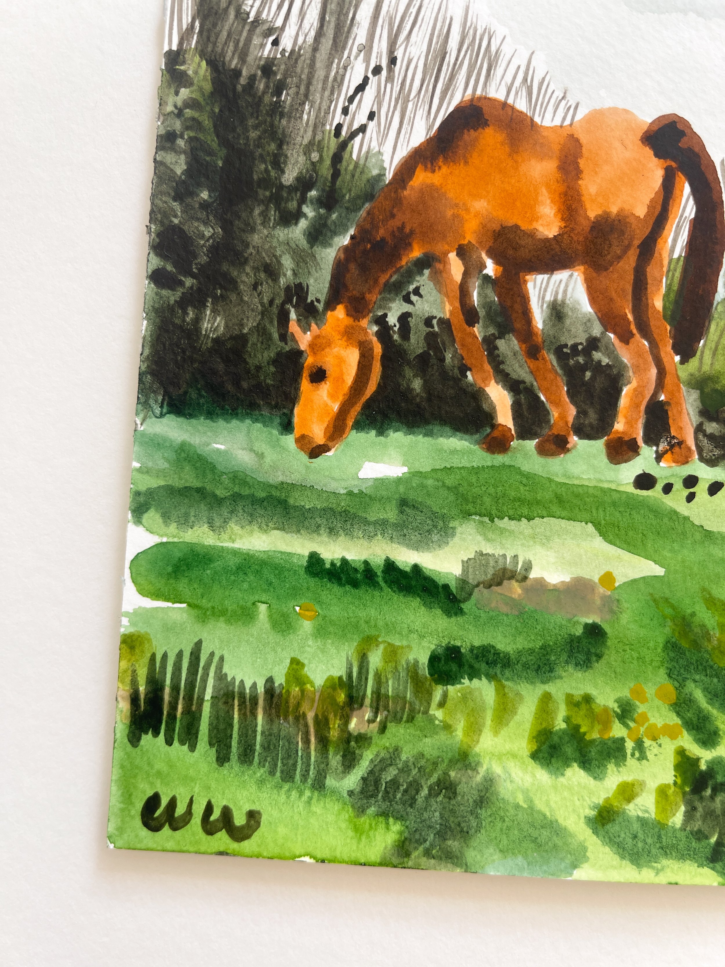 Wilfrid-Wood-Drewsteignton-Ponies-detail-Oliver-Projects-Gallery.JPG