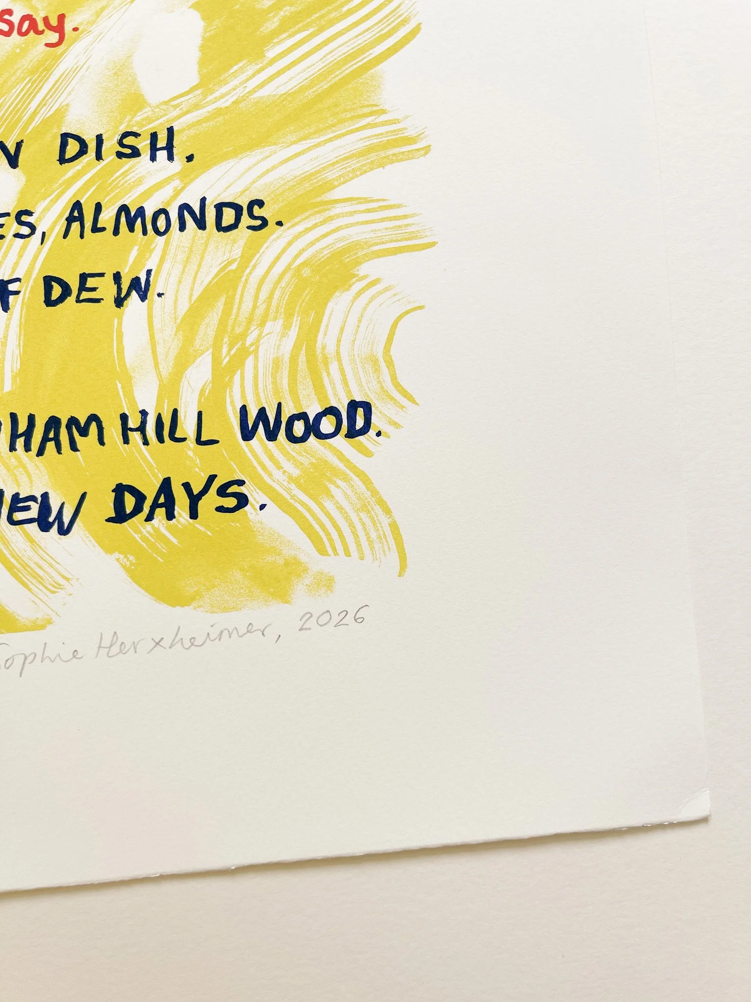 Sophie-Herxheimer-Sydenham-Wood-print-corner-3-Oliver-Projects-Gallery.jpg