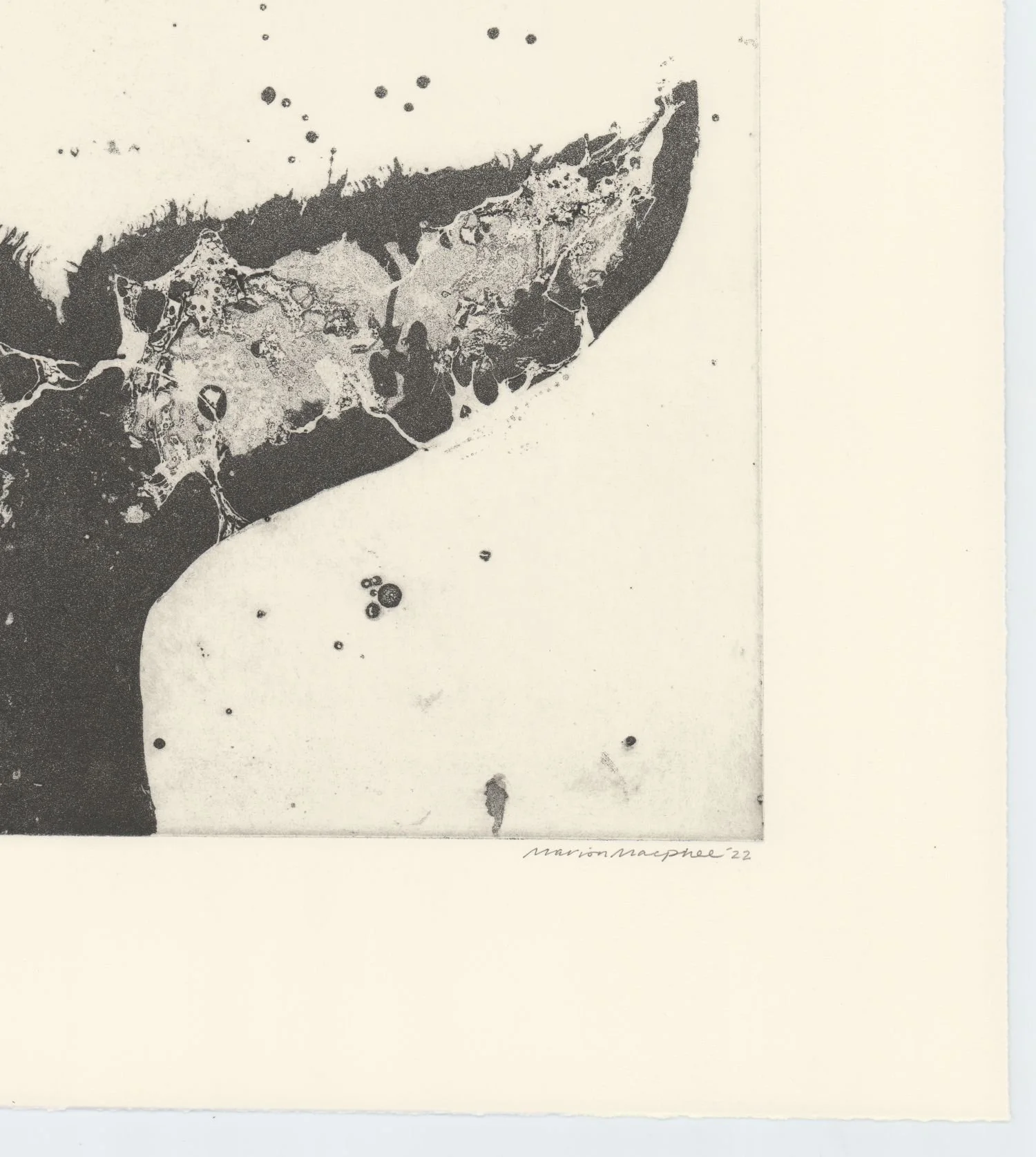 Marion-MacPhee-whale-tail-corner-Oliver-Projects-Gallery.jpg