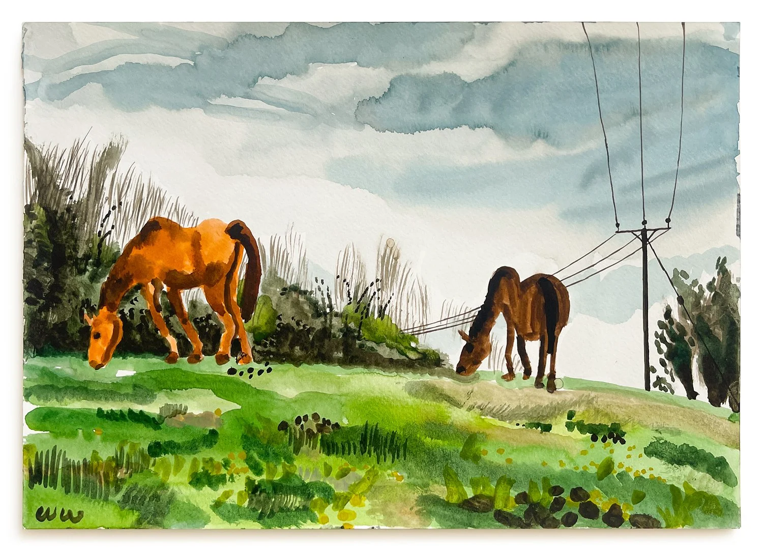 Wilfrid-Wood-Drewsteignton-Ponies-Oliver-Projects-Gallery-web.jpg