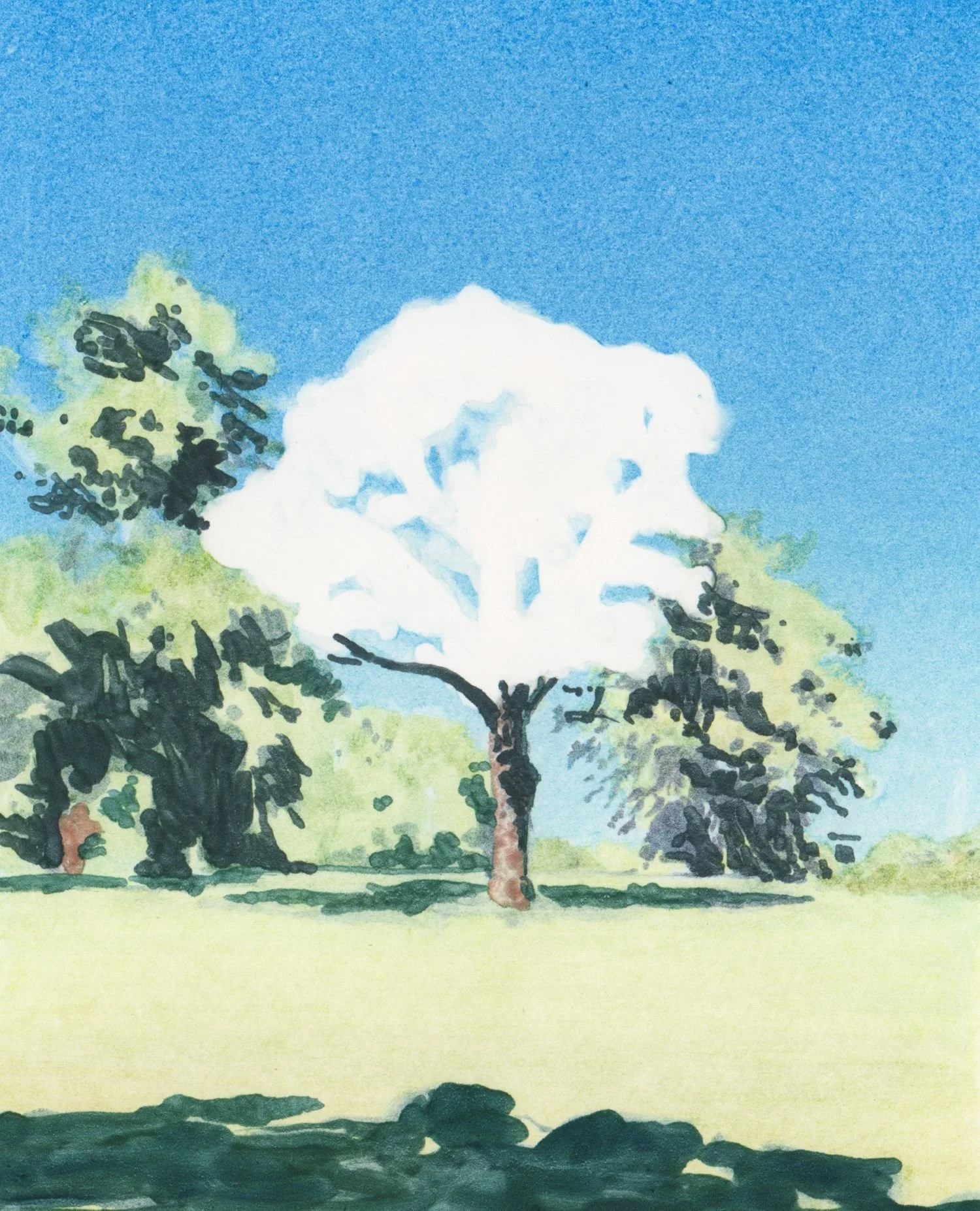 Alistair-Gow-Kingdom_monotype_2026-crop-Oliver-Projects-Gallery.jpg