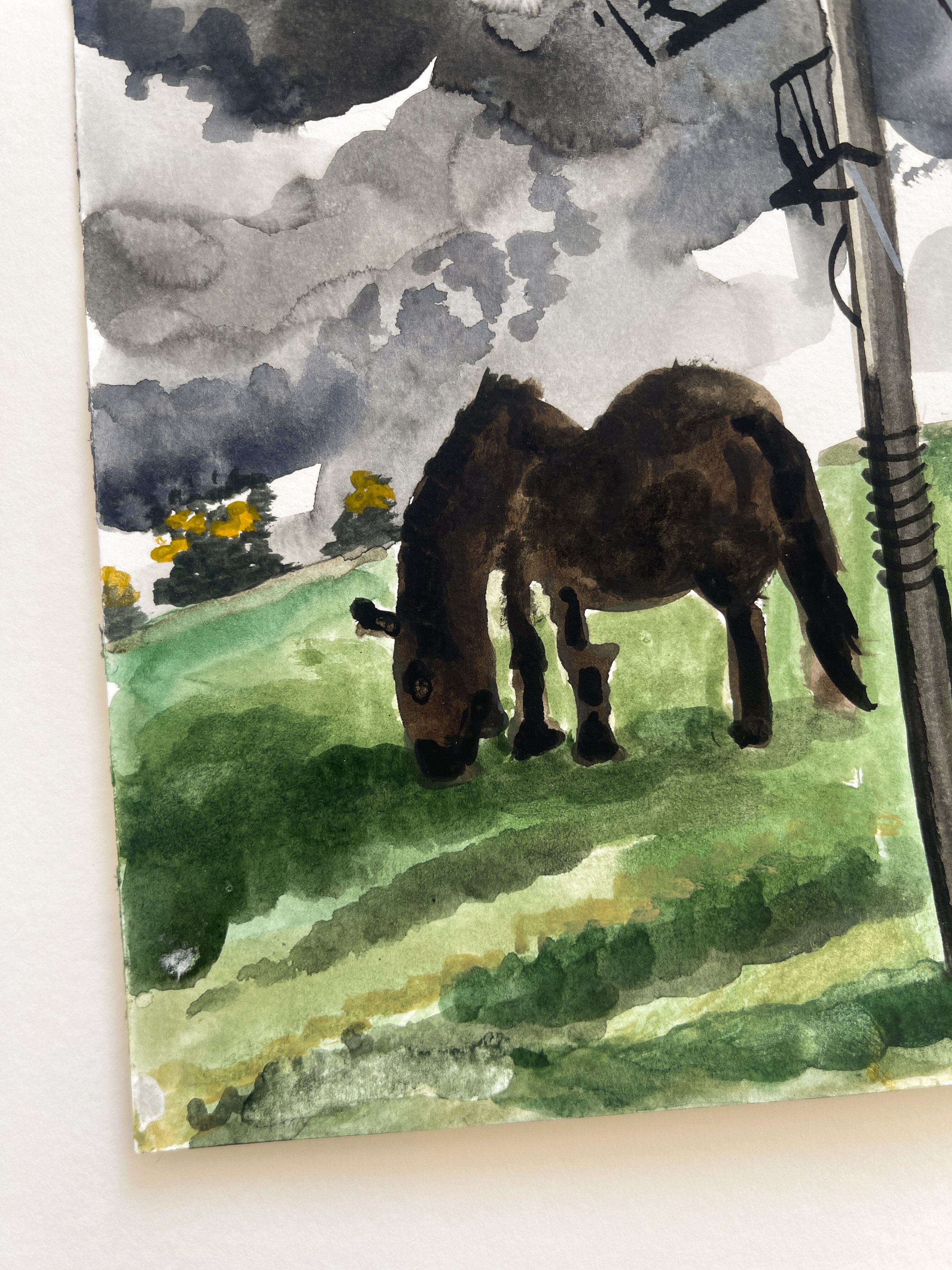 Wilfrid-Wood-Dartmoor-Ponies-Belstone-detail-Oliver-Projects-Gallery.JPG