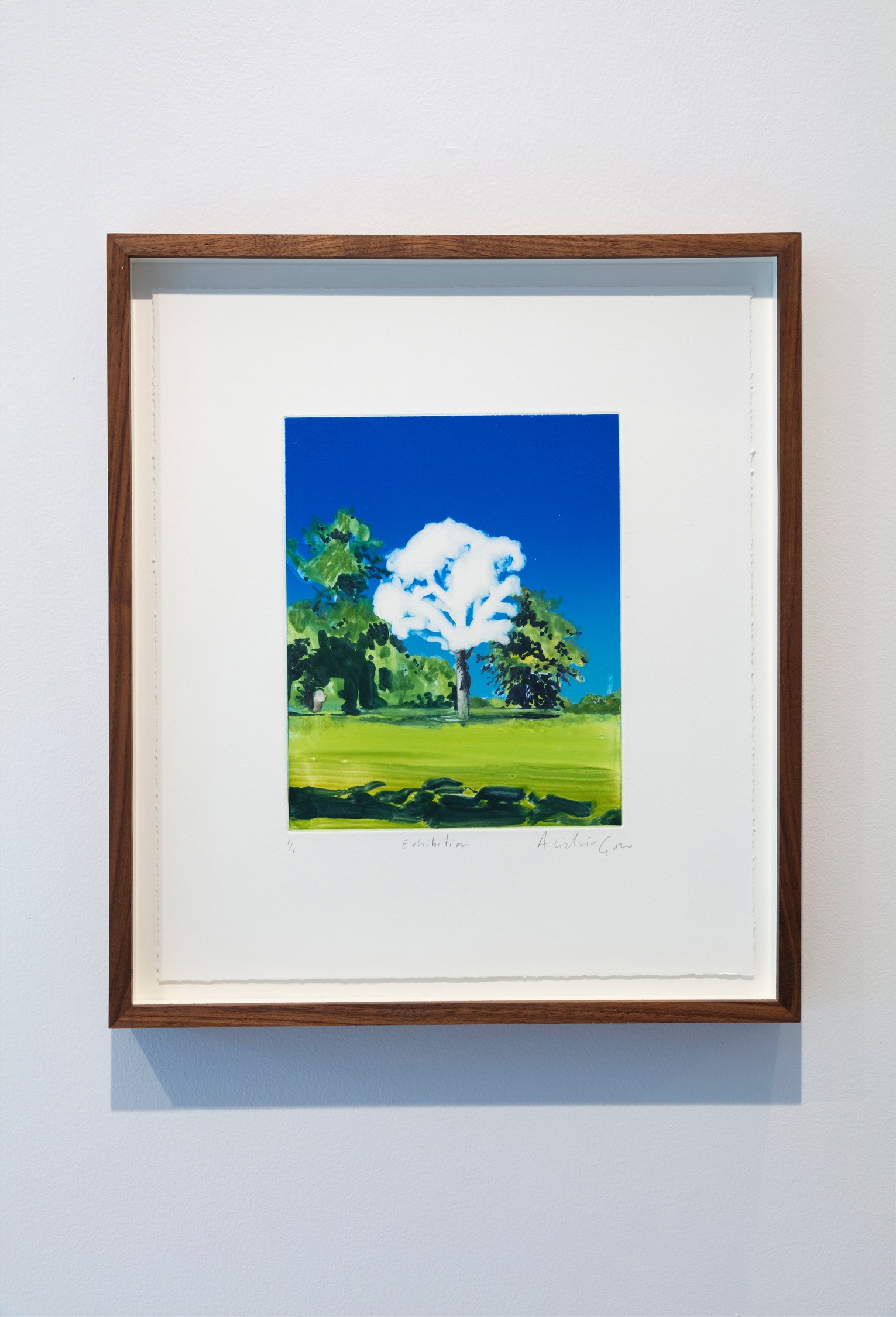 Alistair-Gow-install-Exhibition-Oliver-Projects-Gallery.jpg