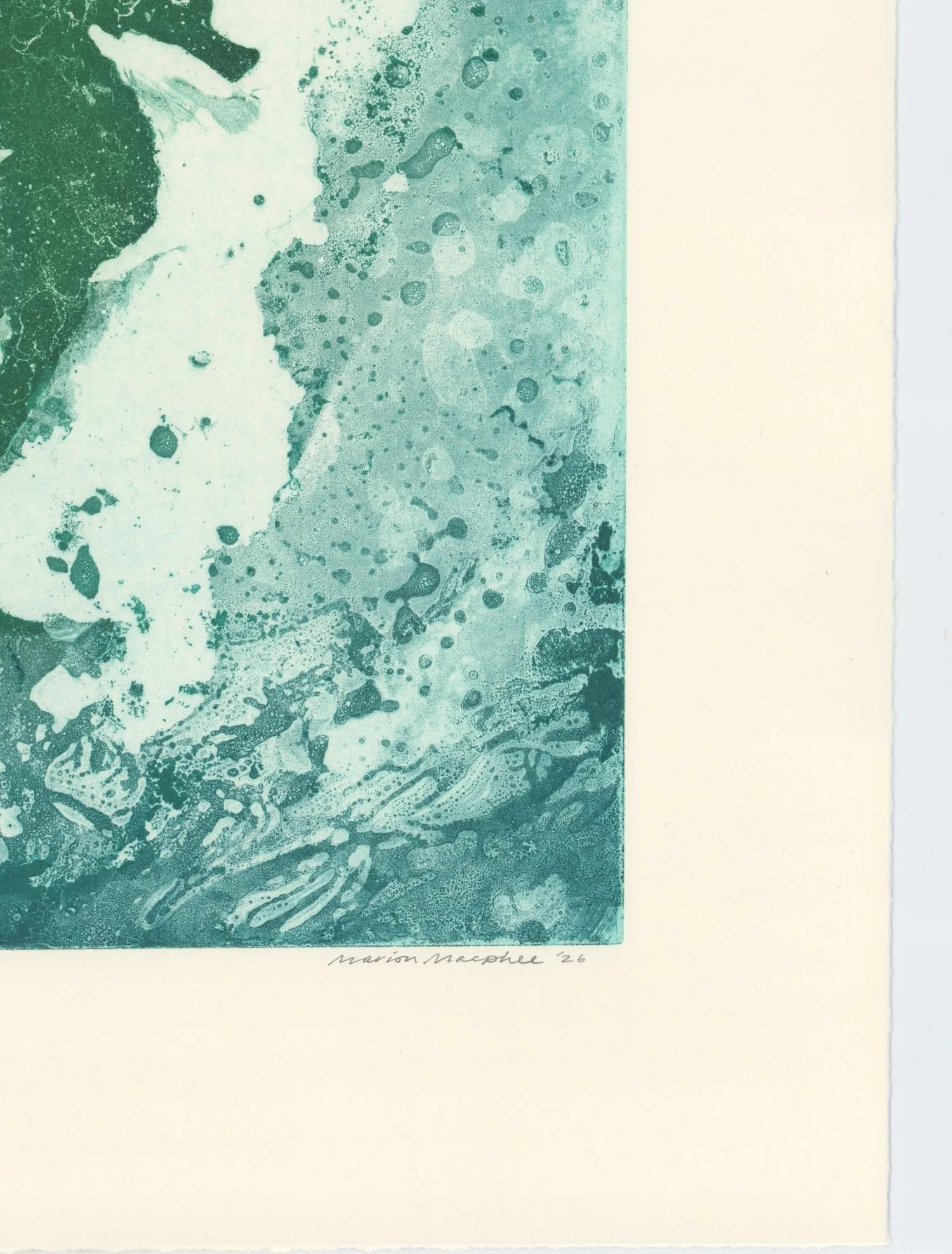 Marion-MacPhee-seahorse-corner-Oliver-Projects-Gallery.jpg