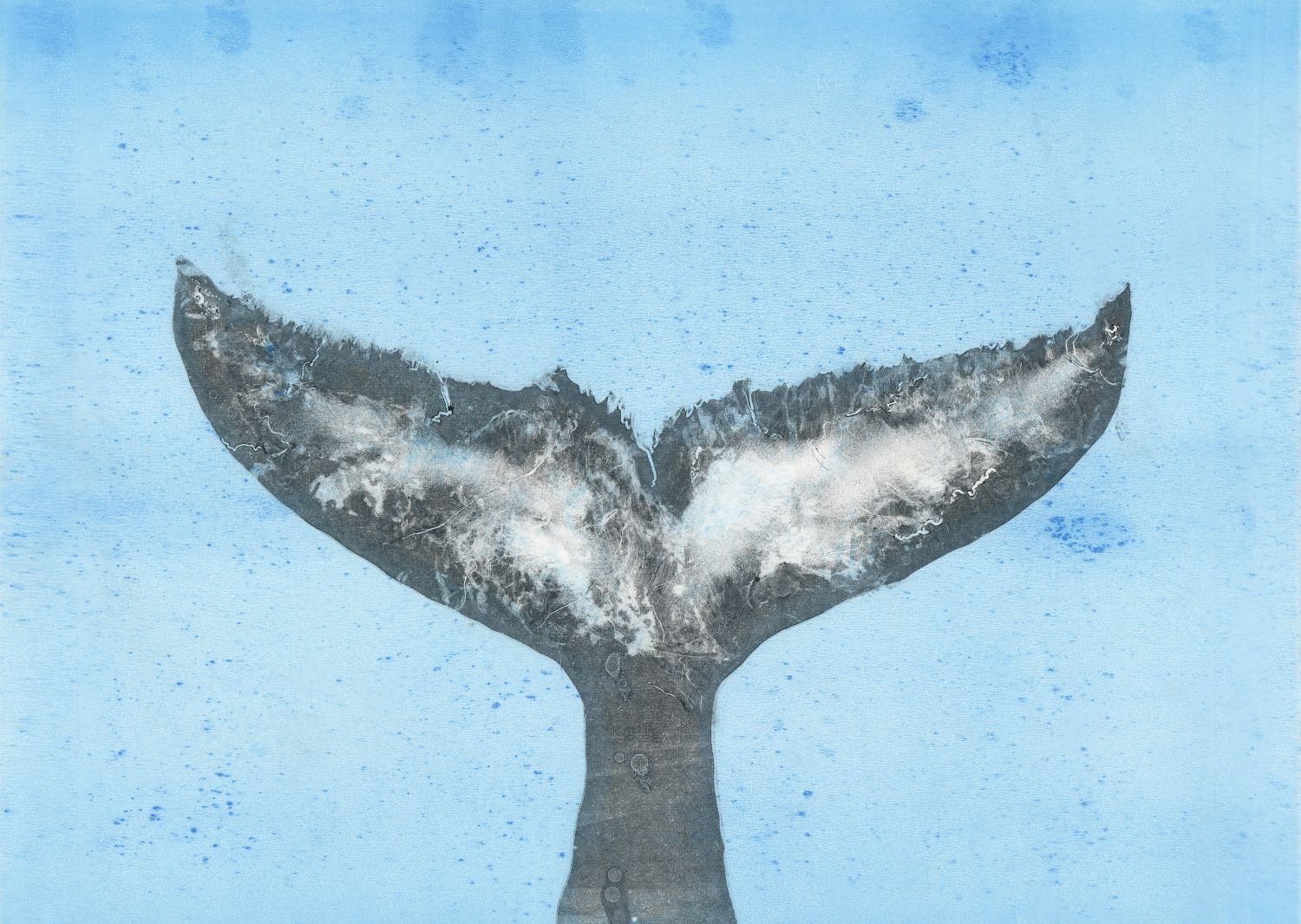 Marion MacPhee, Whale Fluke, 2026 (framed)