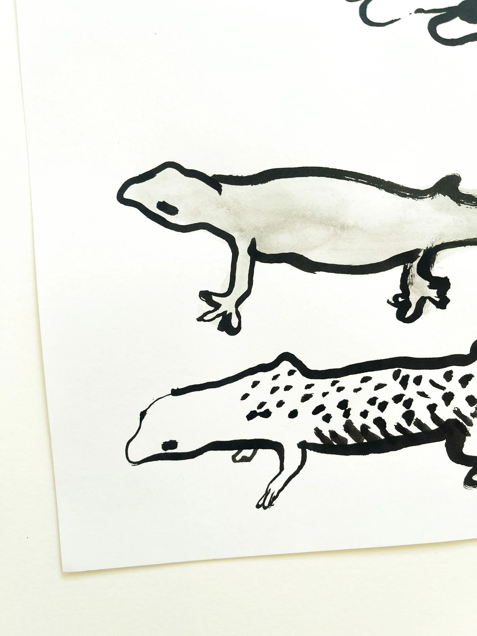 Jessica-Jane-Charleston-geckos-Oliver-Projects-Gallery.jpg