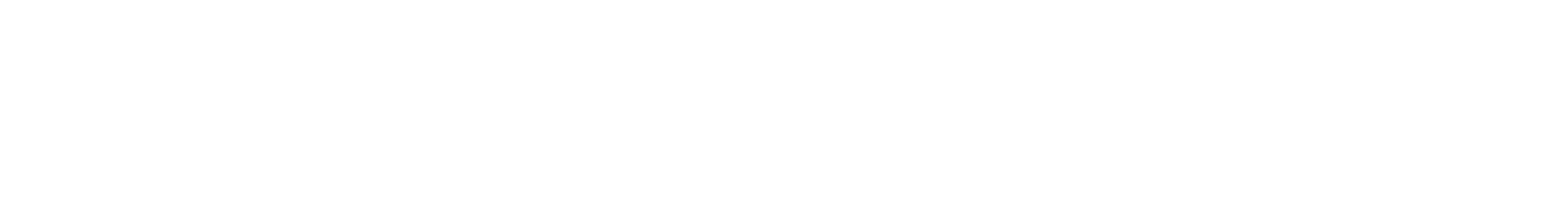 White Logo.png