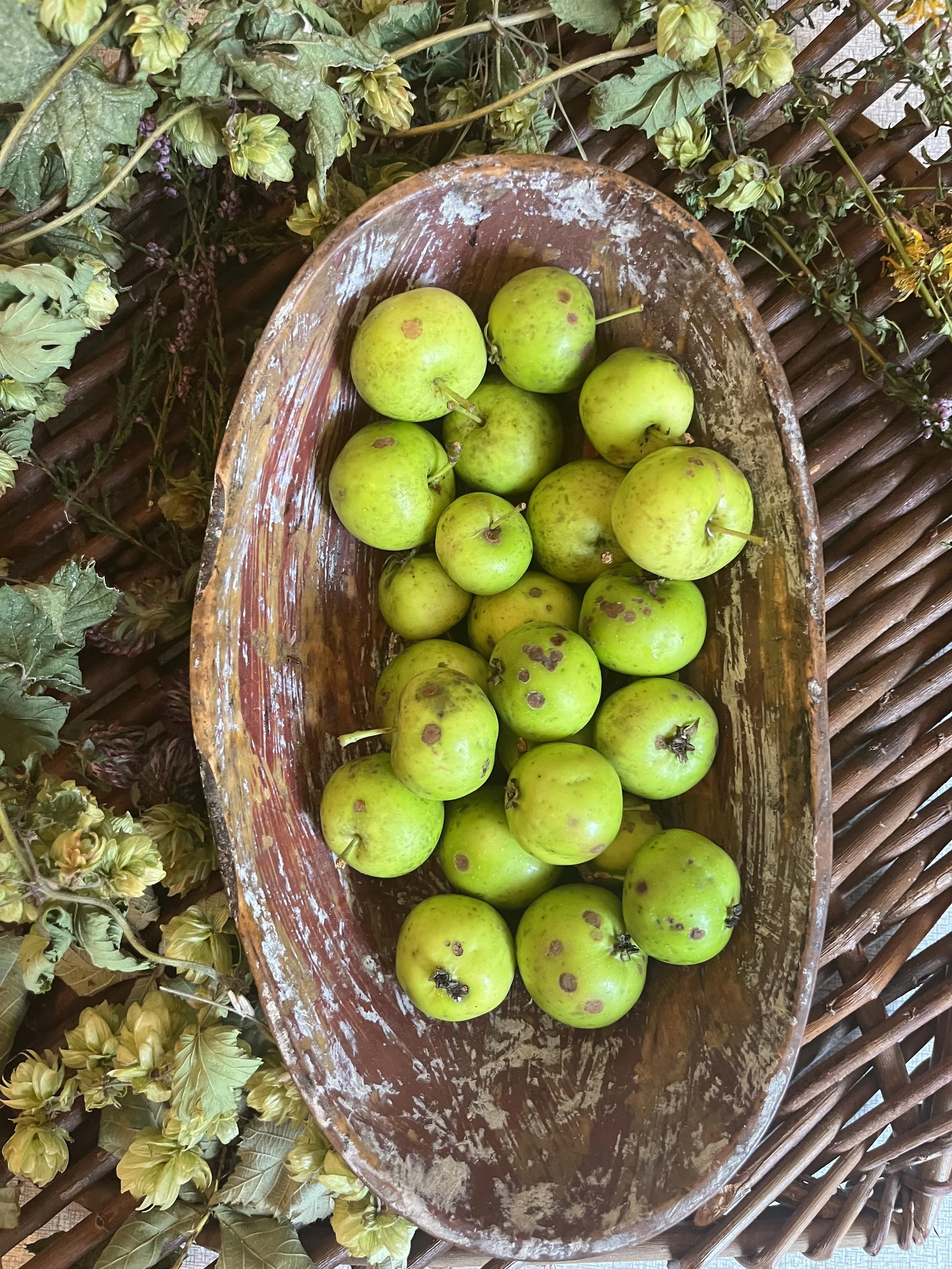 apples.jpg