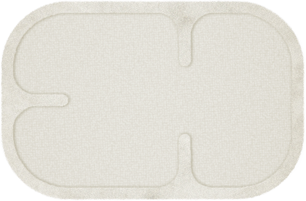 FOSSILE TALL ARTWORK.png