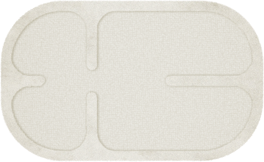 FOSSILE MEDIUM ARTWORK.png