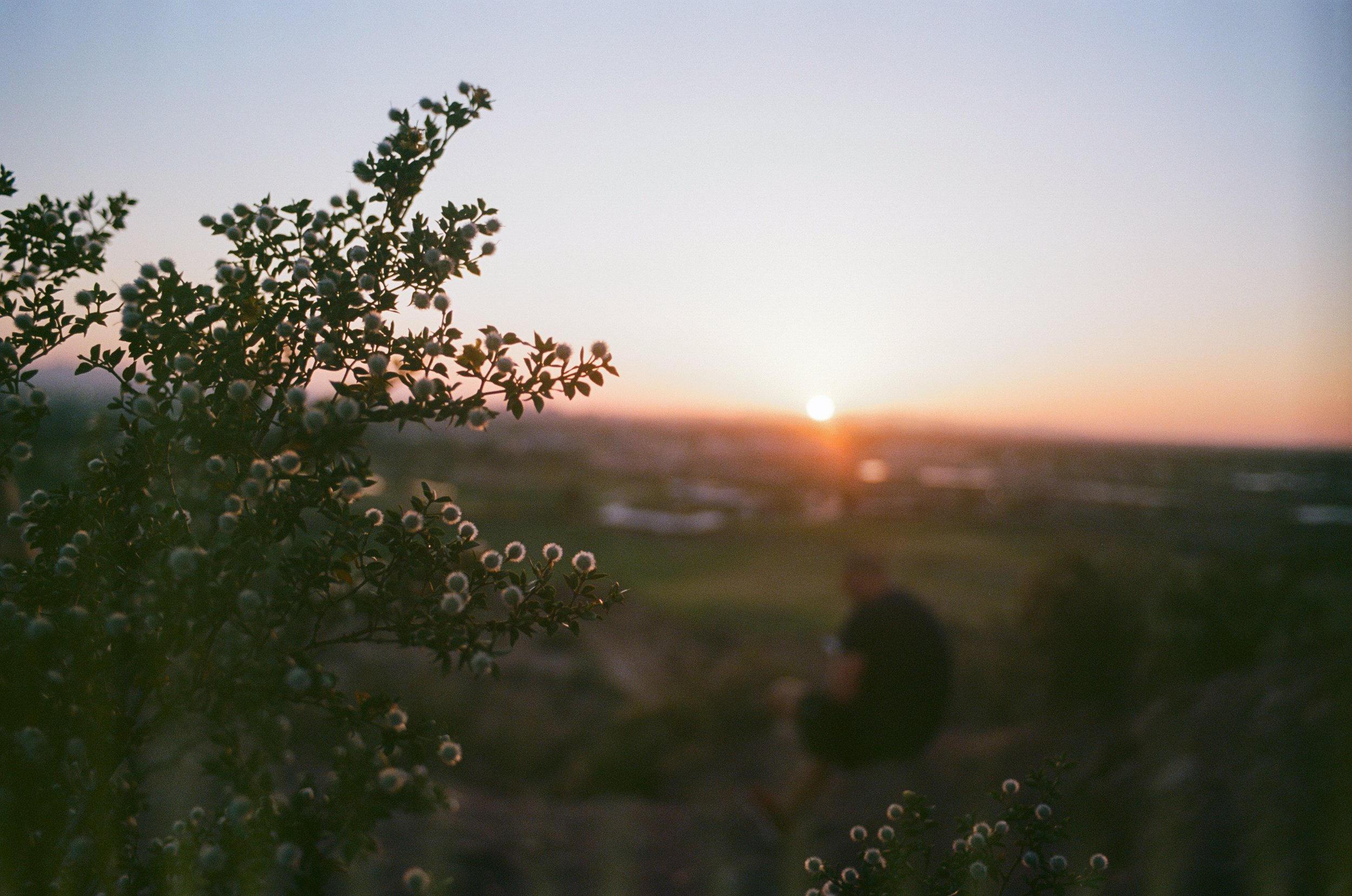 ektar100-3.jpg