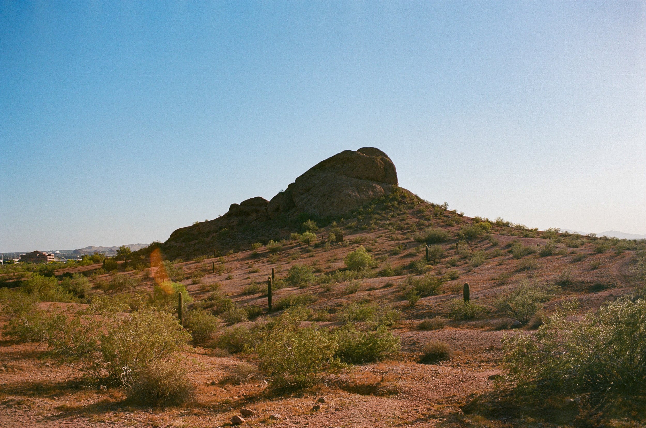 ektar100-9.jpg