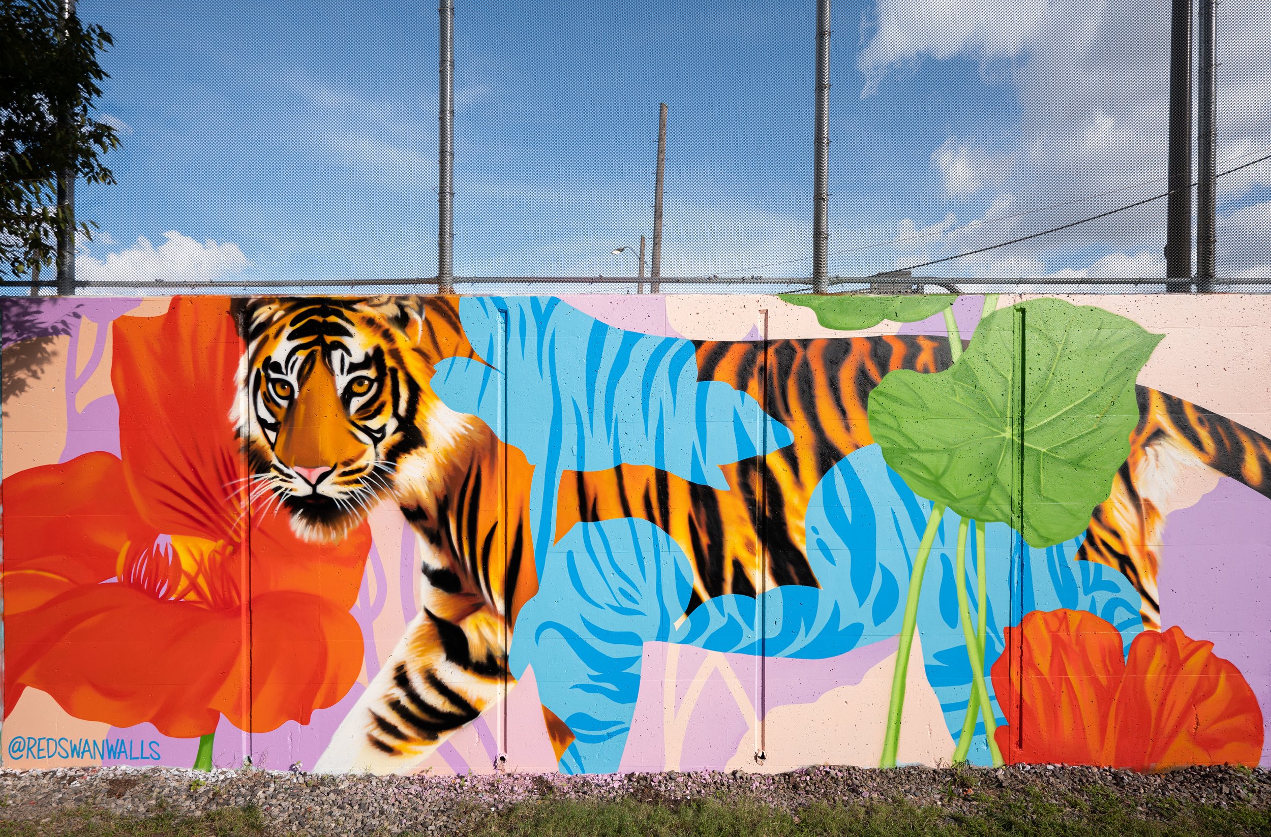 DCWalls2021-1-155.jpg
