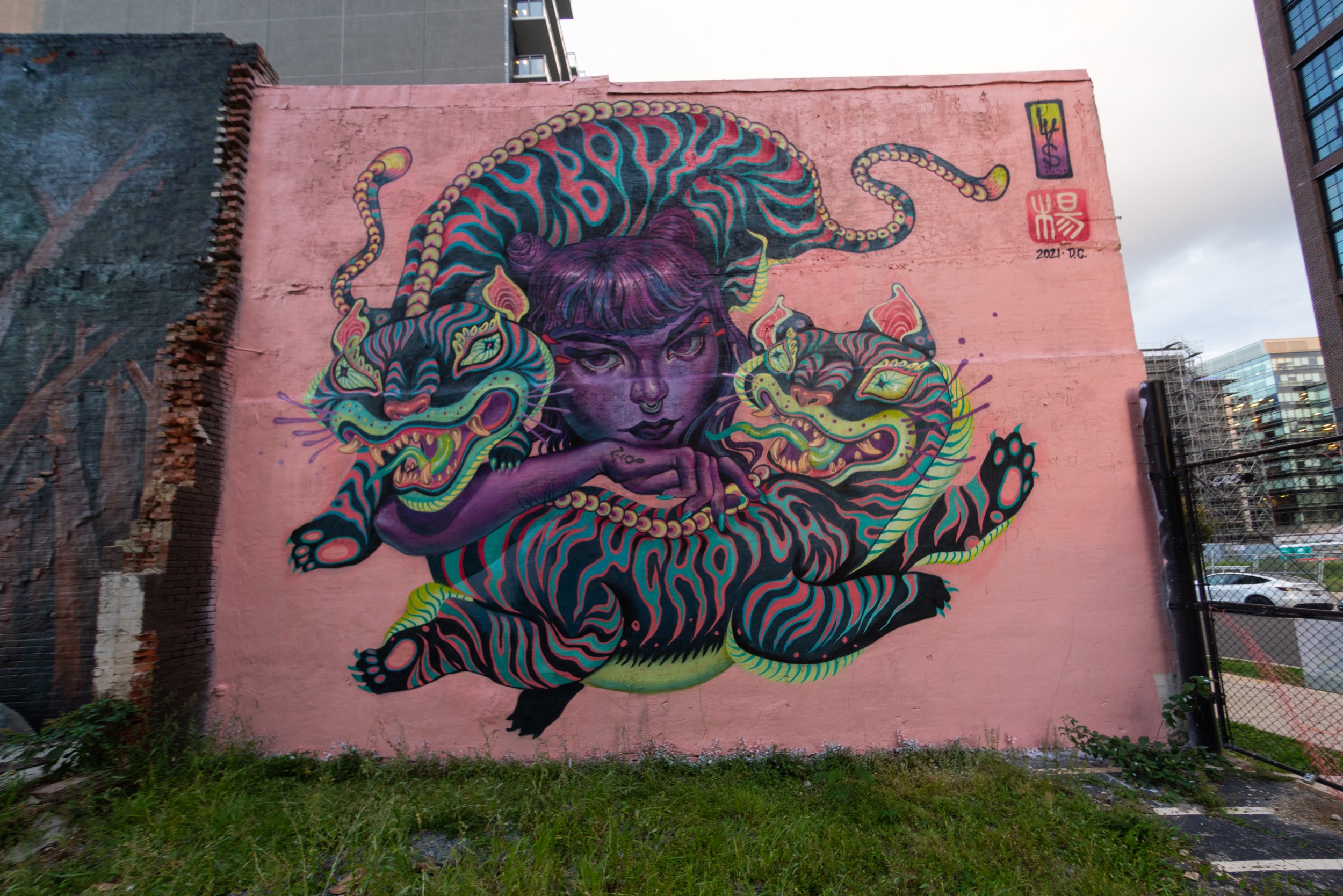 DCWalls2021-85.jpg