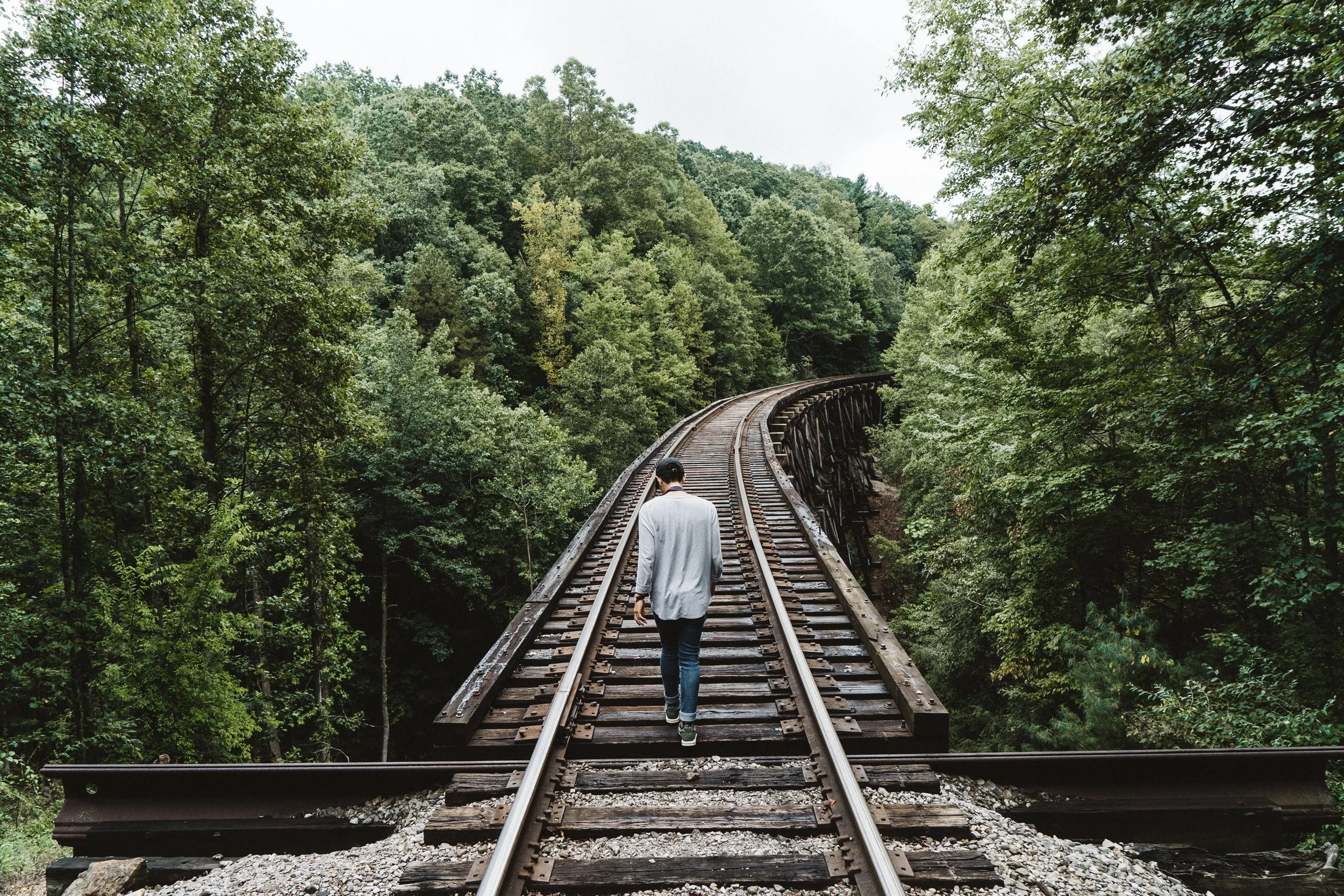mika-matin-139247-unsplash.jpg