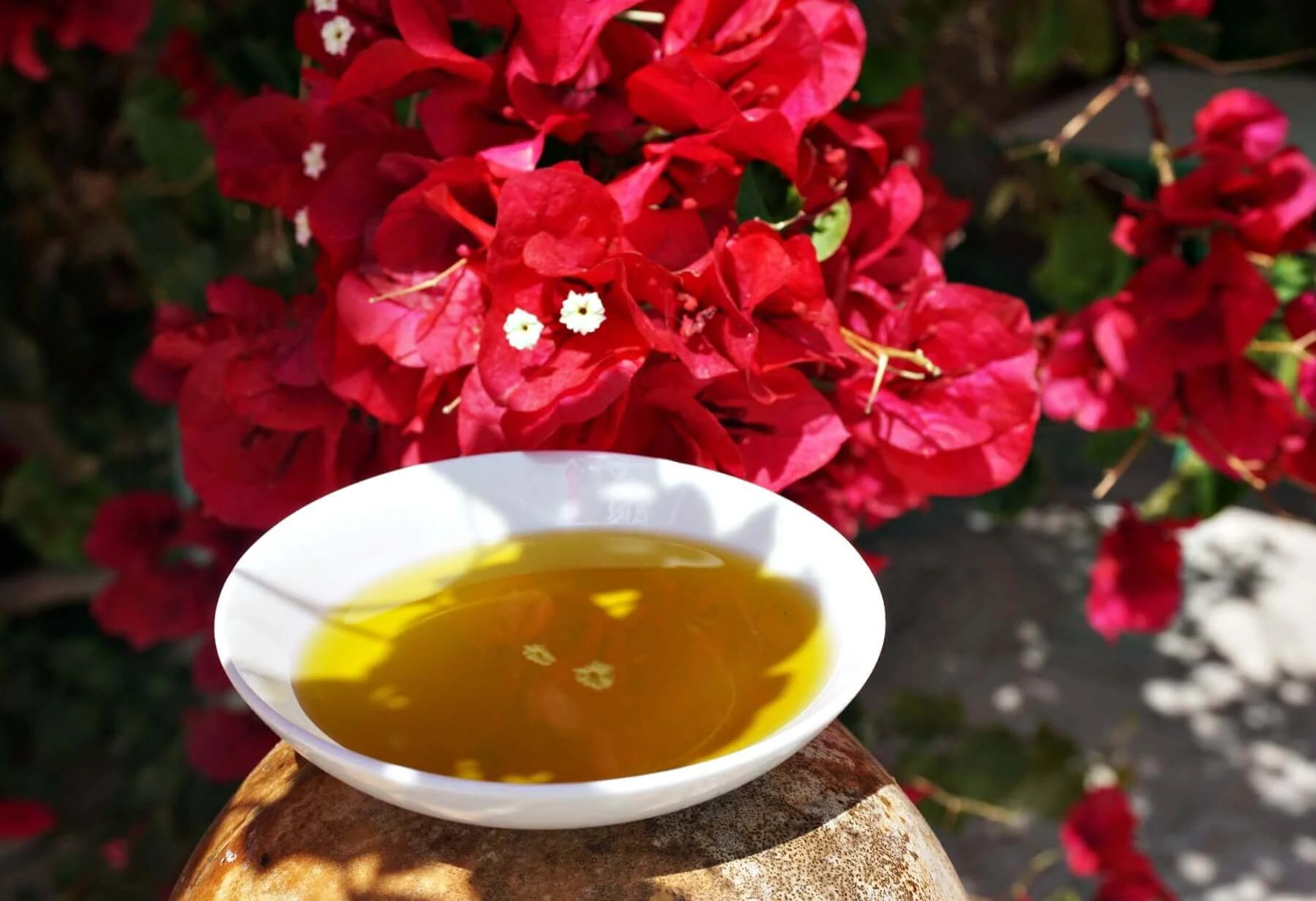 Olive oil and flower.jpg