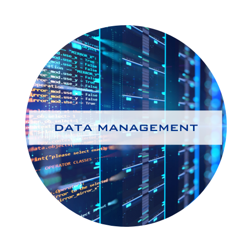 data management.png