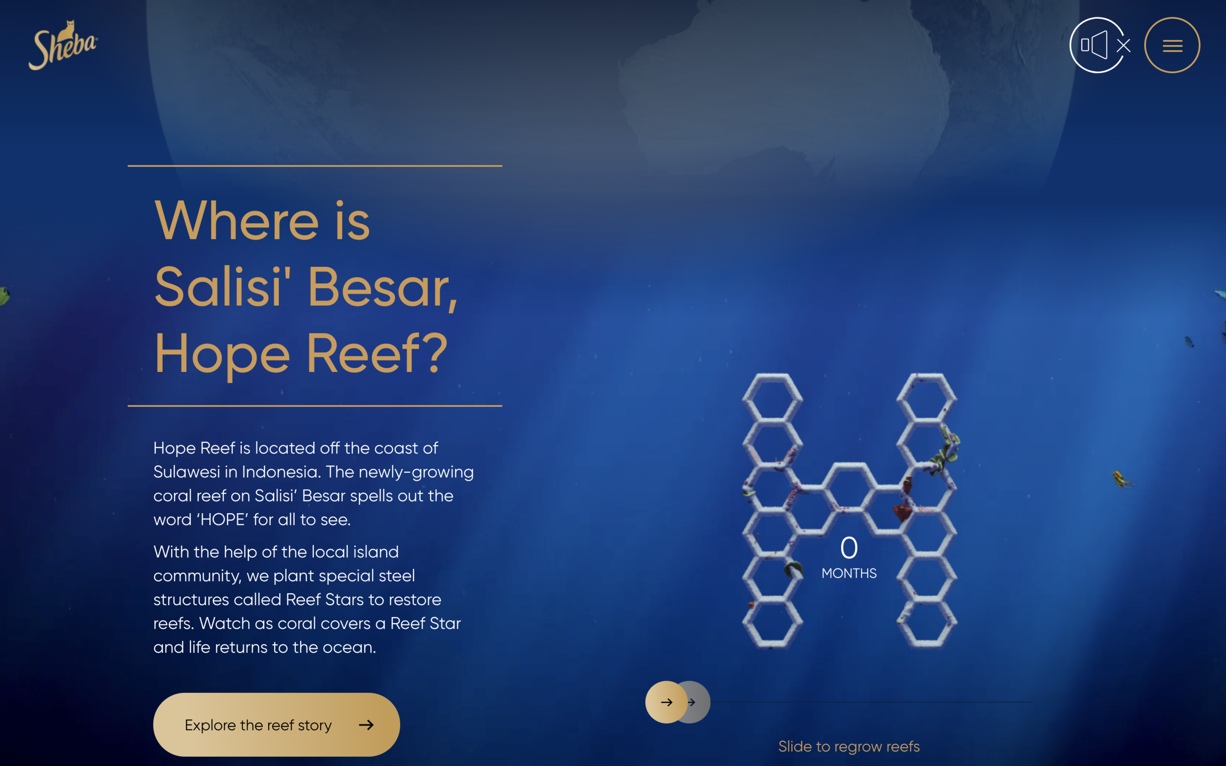 Screenshot 2021-05-18 at 15.08.17.png