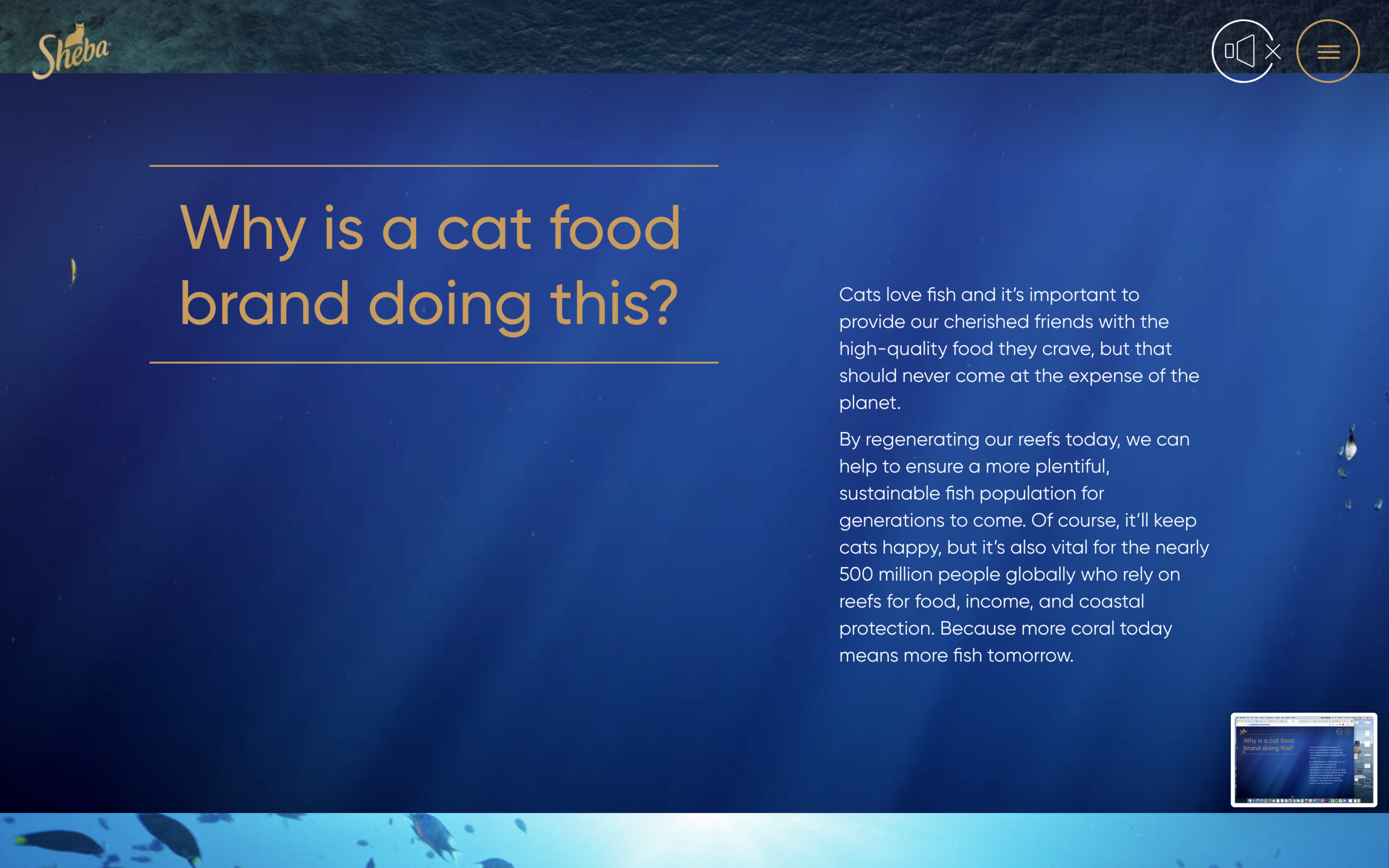 Screenshot 2021-05-18 at 15.08.43.png