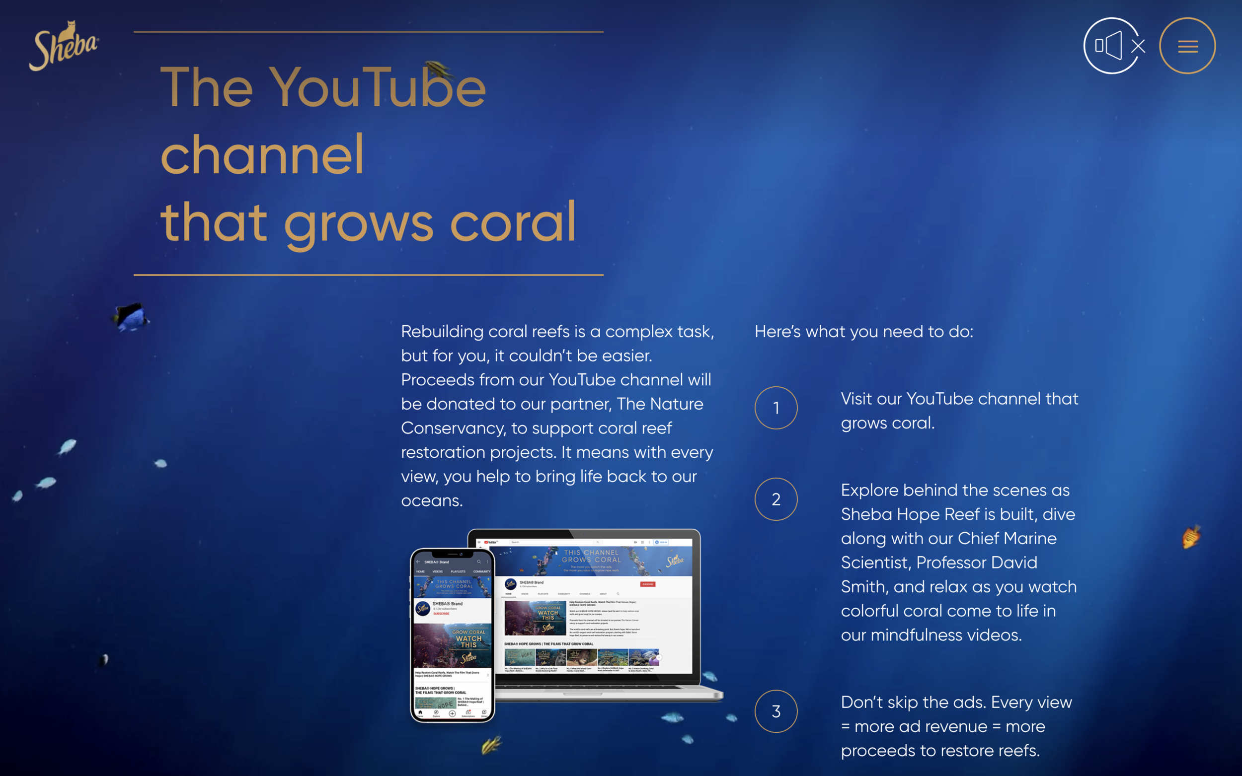 Screenshot 2021-05-18 at 15.09.54.png