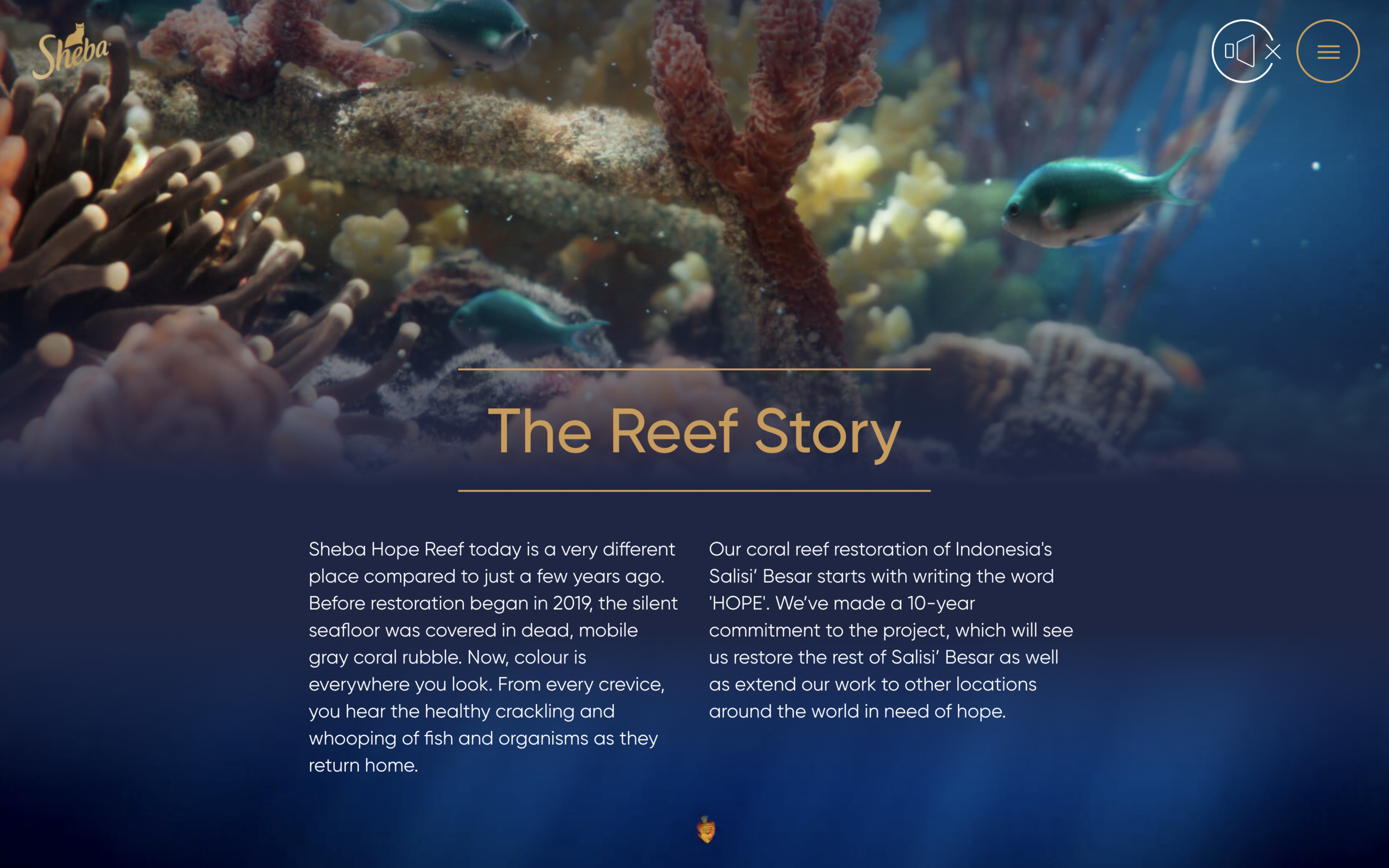 Screenshot 2021-05-18 at 15.11.01.png