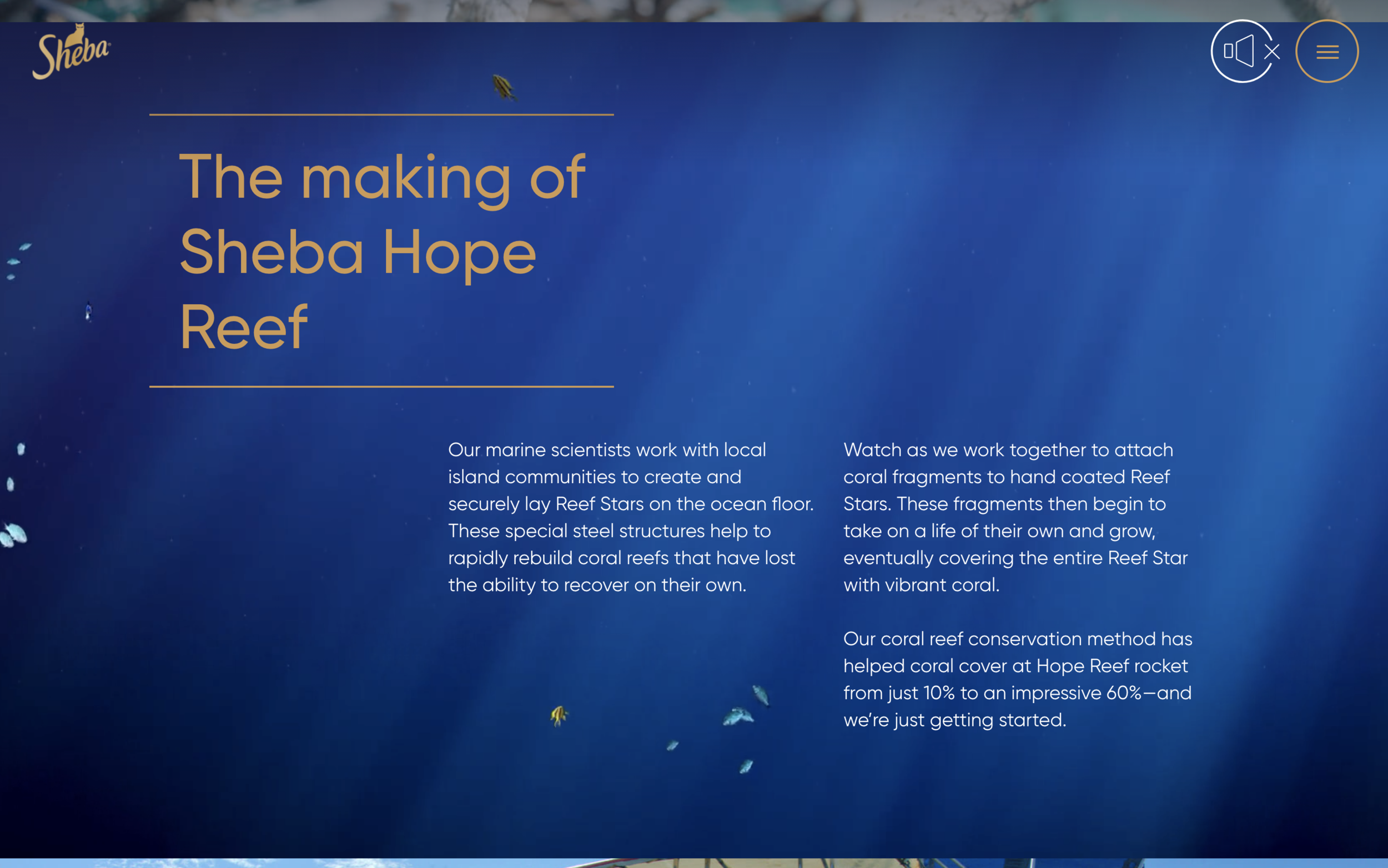 Screenshot 2021-05-18 at 15.11.36.png