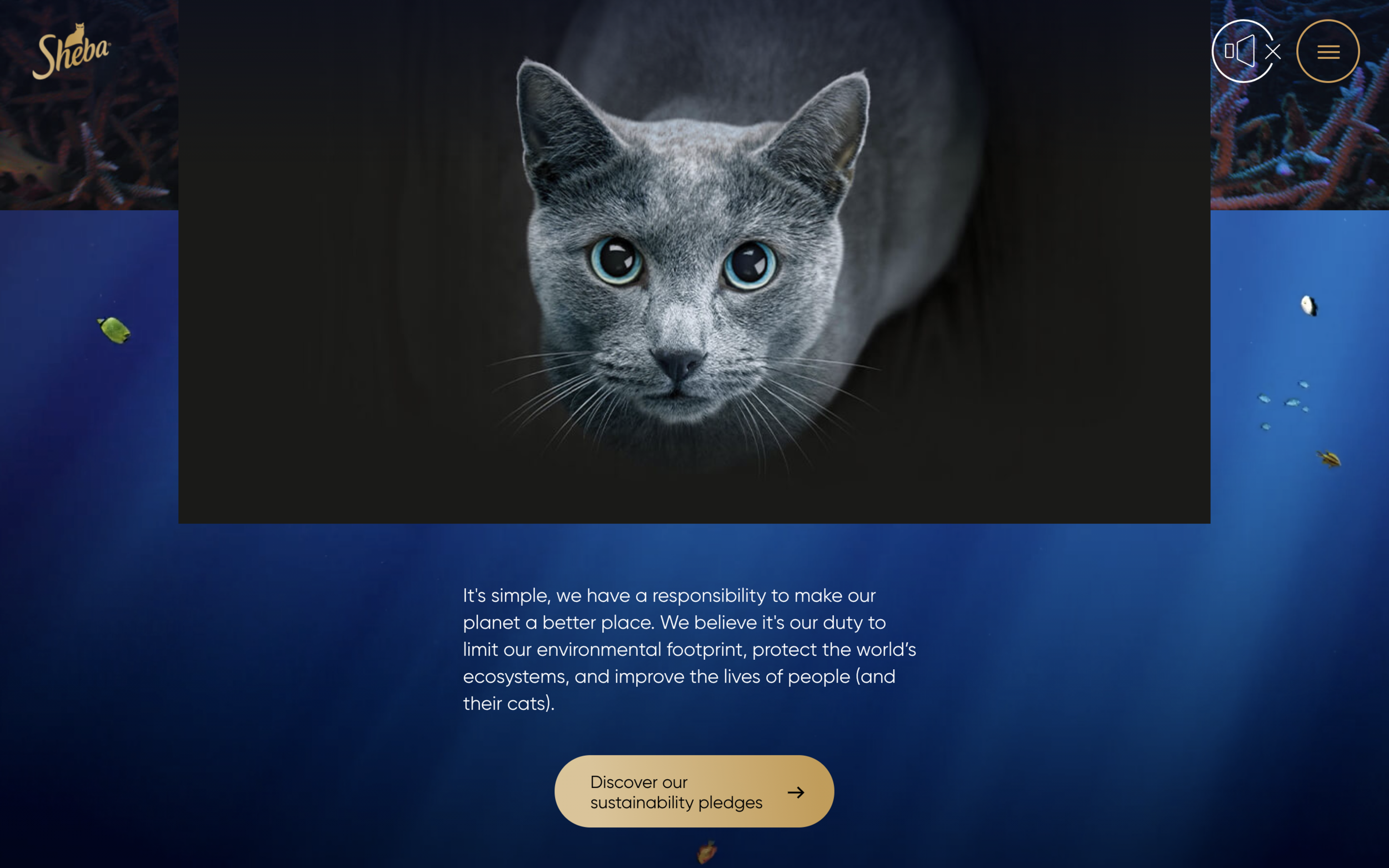 Screenshot 2021-05-18 at 15.12.48.png