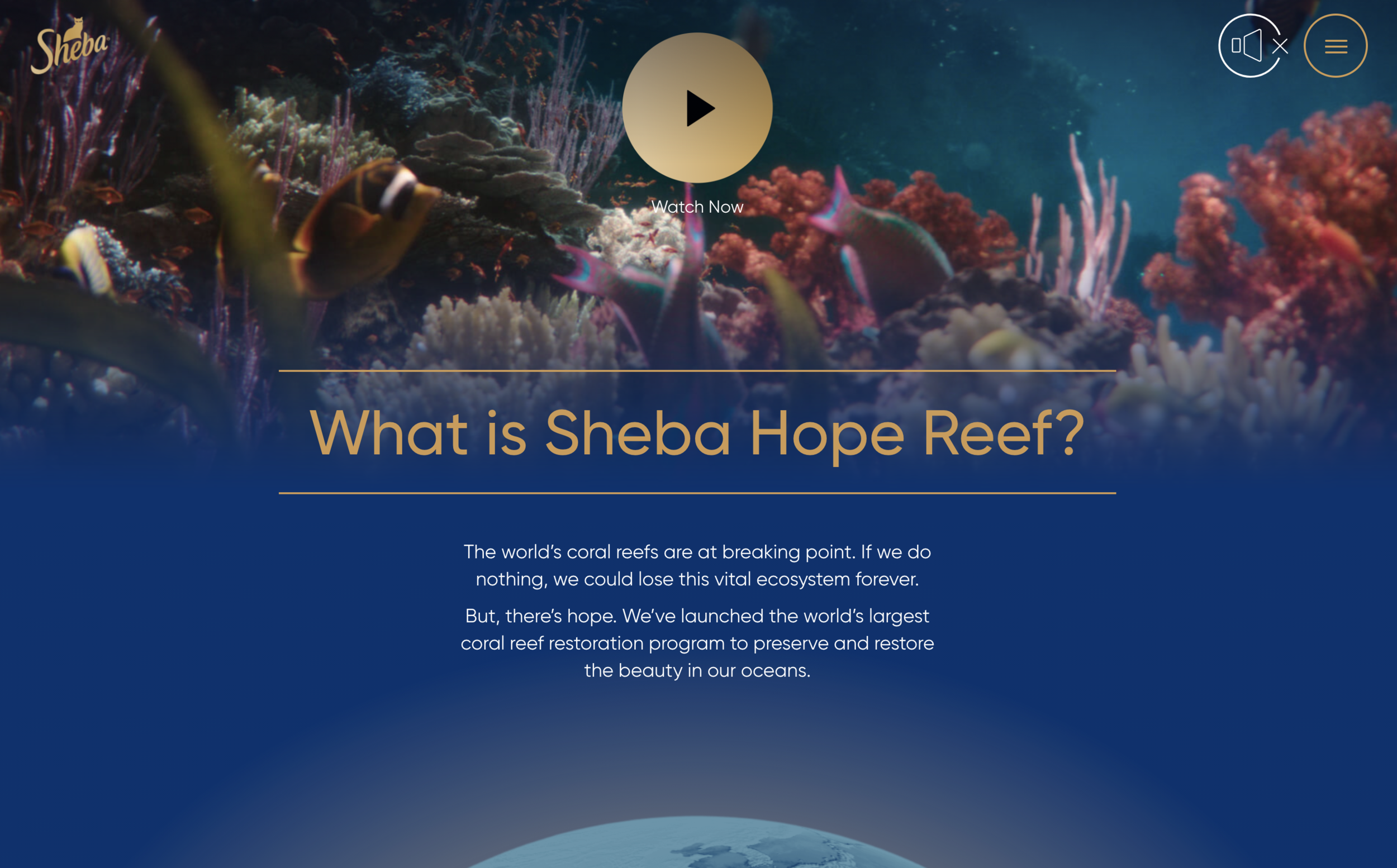 Screenshot 2021-05-18 at 16.06.08.png