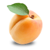Apricot - 480x480.png