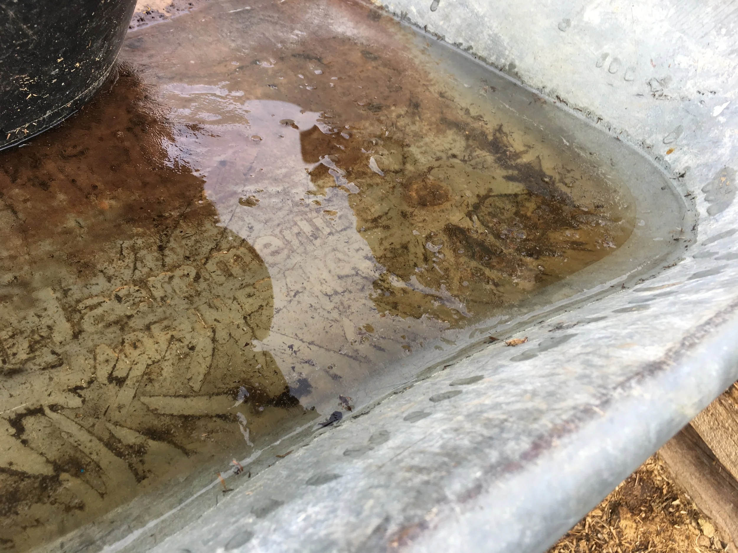 Thick ice in a wheelbarrow