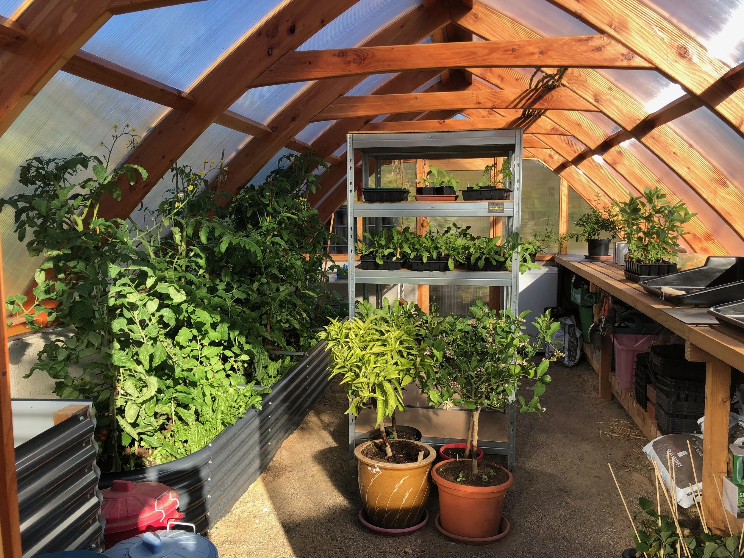 The new greenhouse