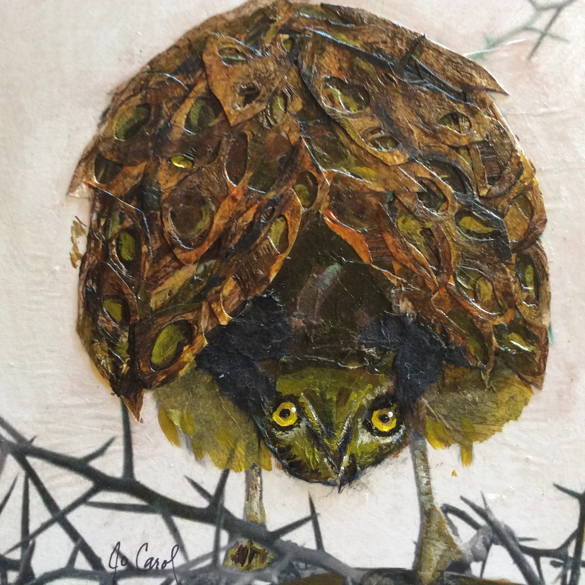 Owl Be Watching You