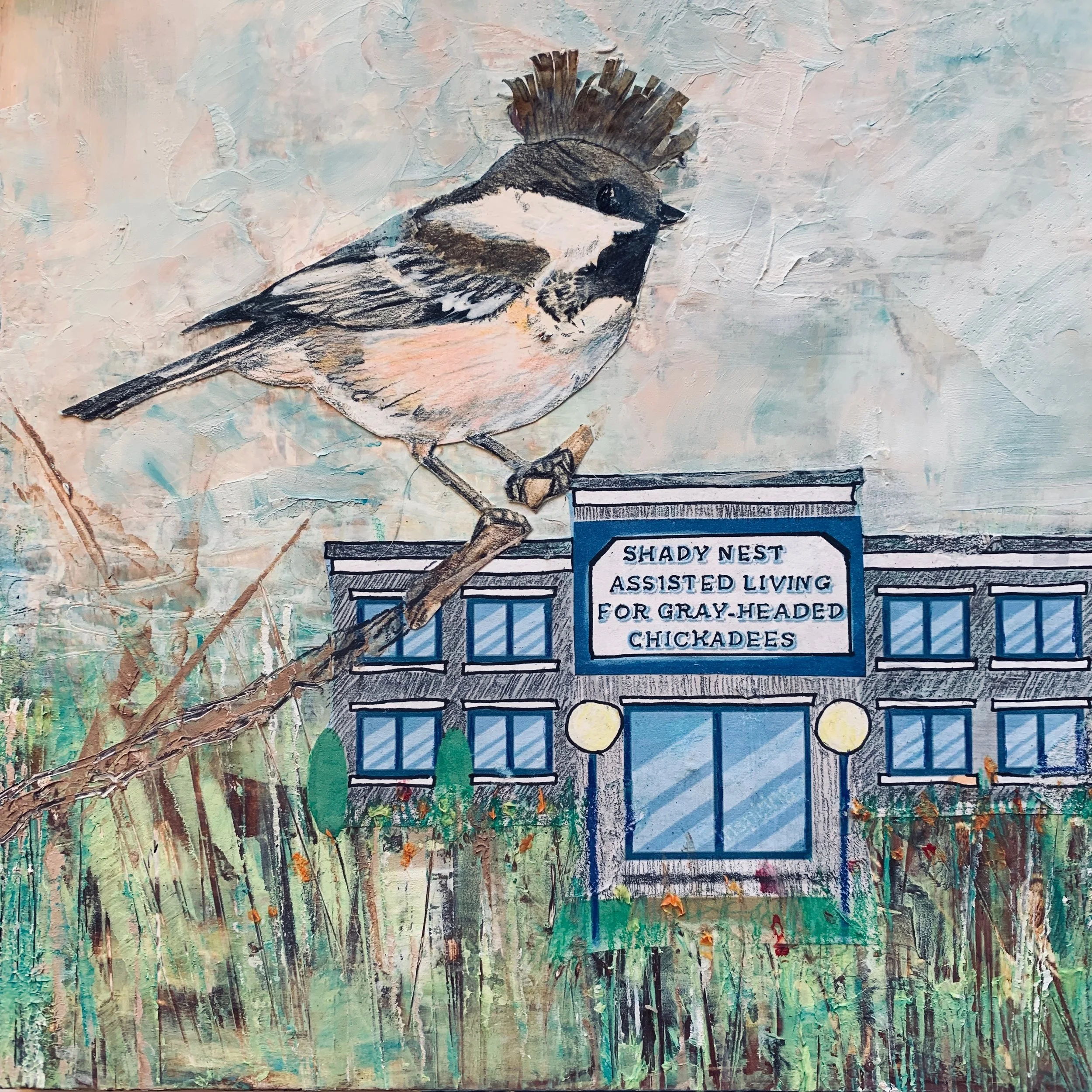 Shady Nest Assisted Living for Gray-Headed Chickadees