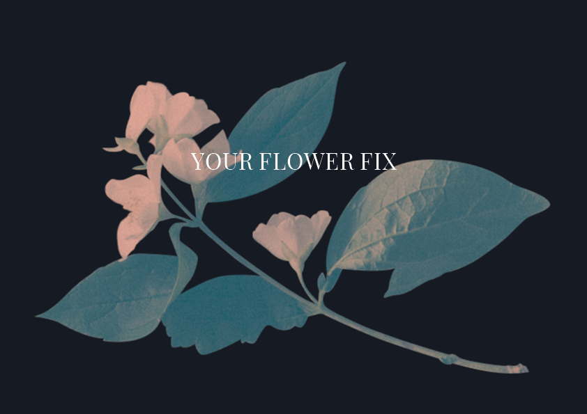 homepage_test2.png