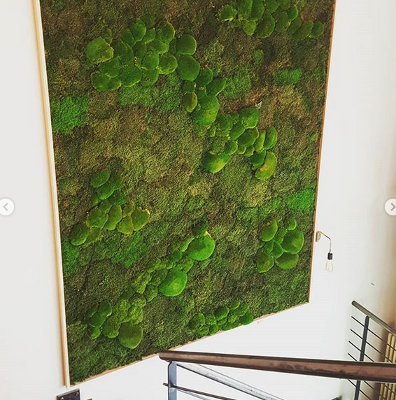 Atelier tableau Vegetal