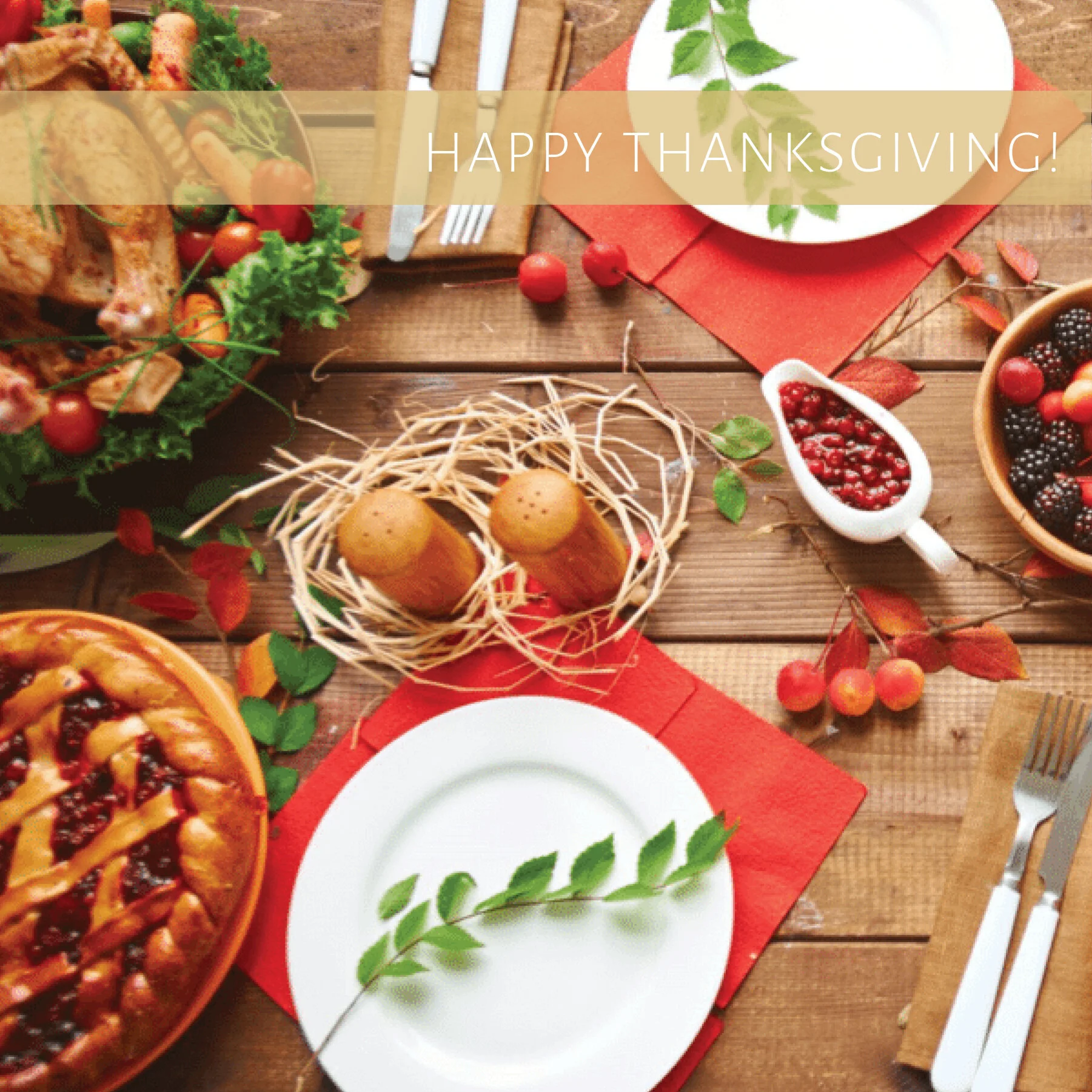 Thankful, Grateful, and Blessed!