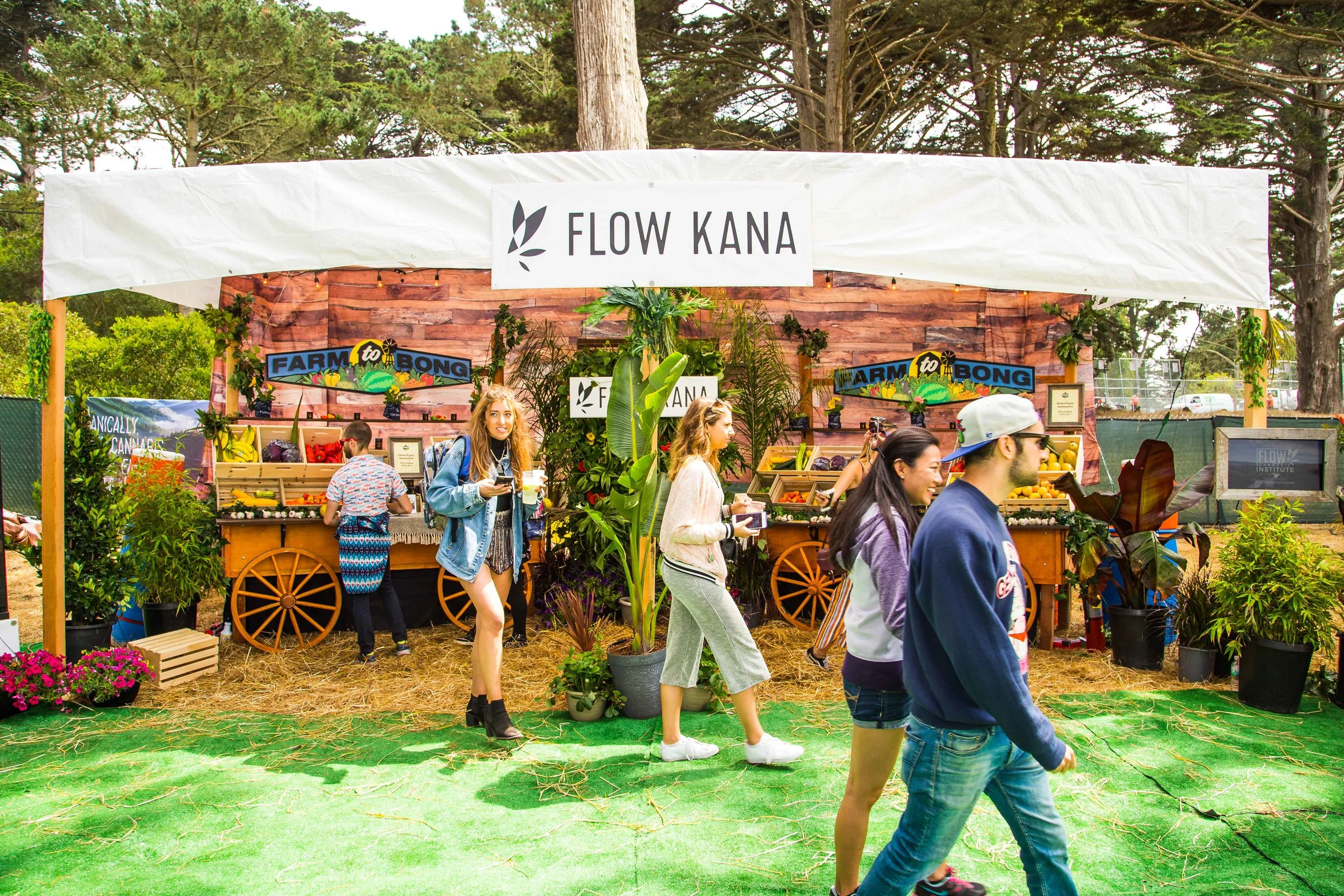Flow Kana.jpg
