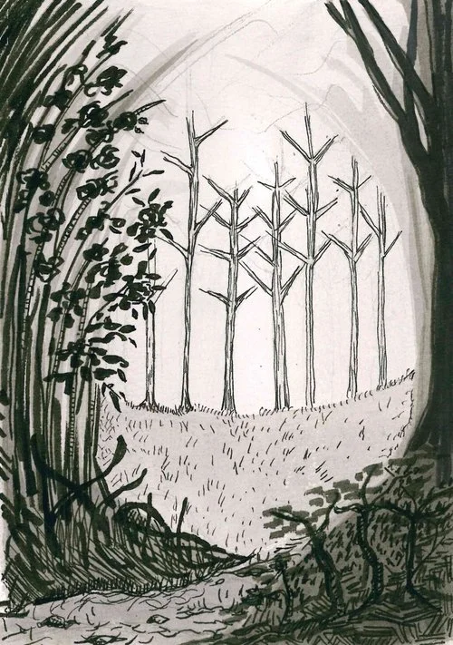 The Clearing - 5"x7.5" pen and sumi ink on paper
