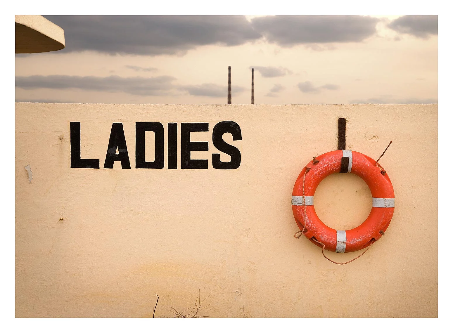 7x-Ladies.jpg
