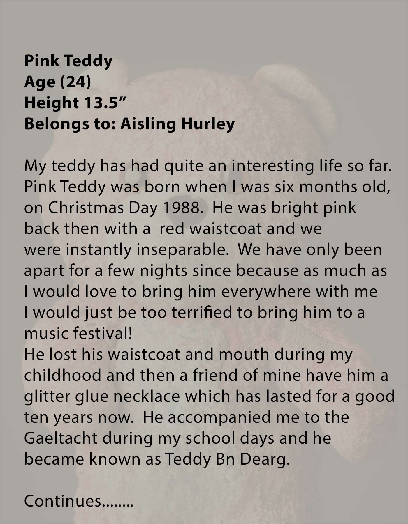 Aisling-Hurley-Pink-Teddy.jpg