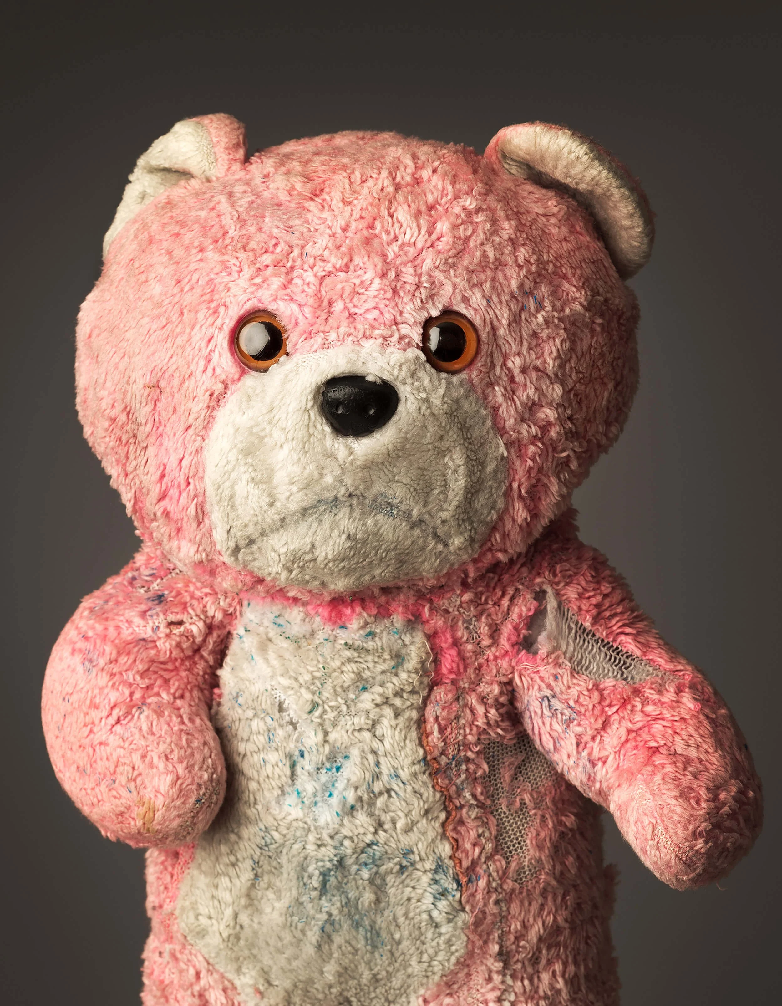 Aisling-Hurley-Pink-Teddy.JPG